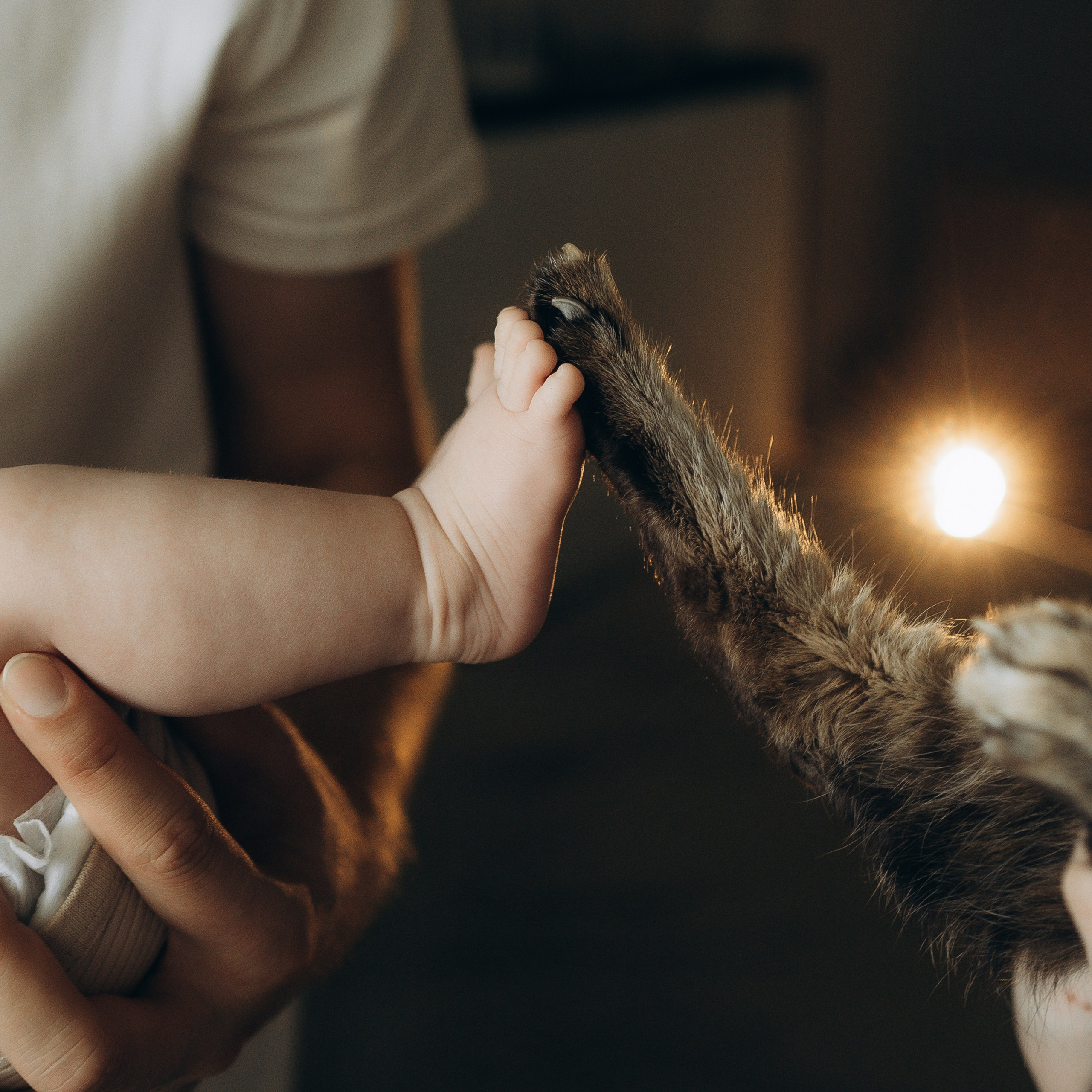 Георгий, Татьяна и малышка Кристина