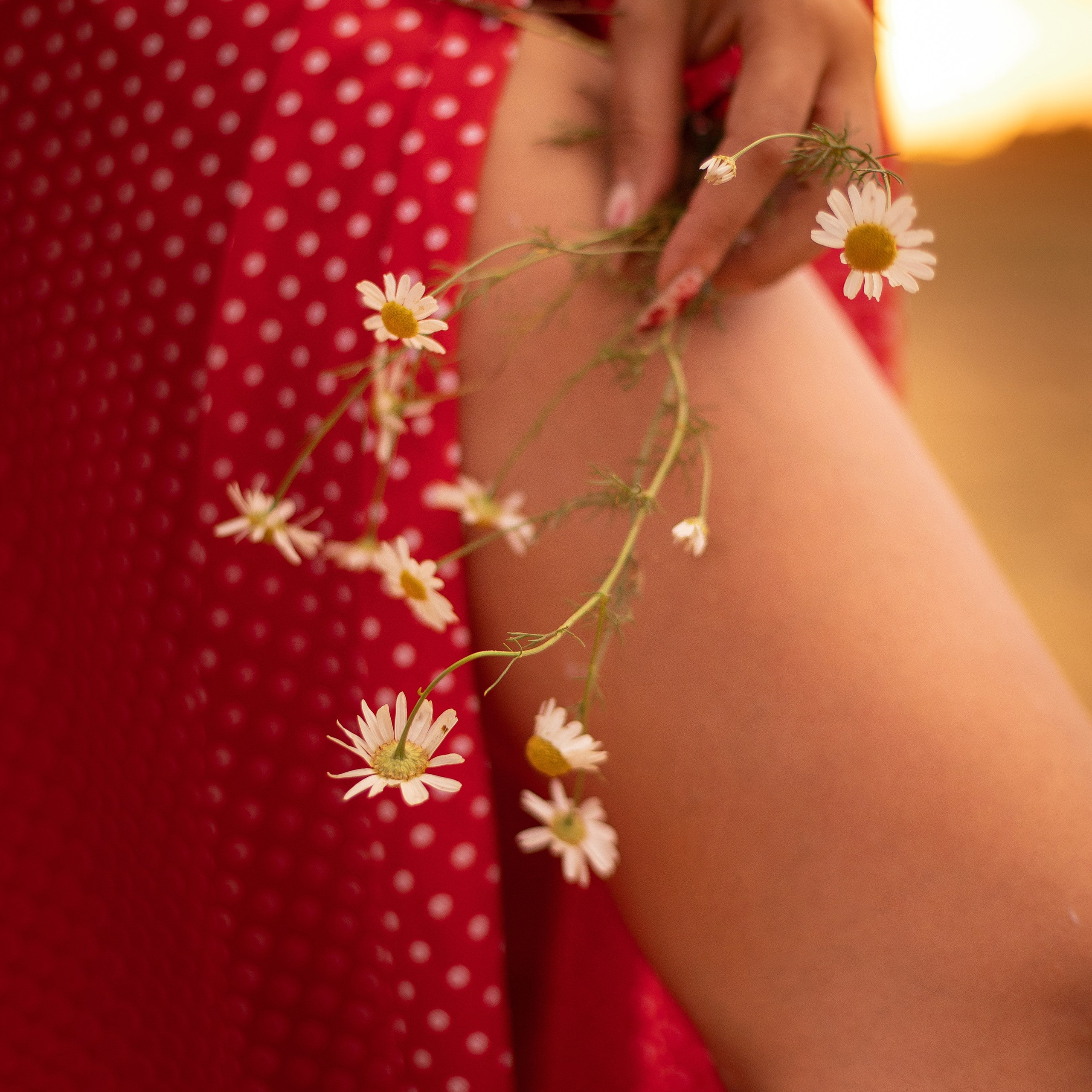 Семейный и индивидуальный фотограф в Химках и Москве