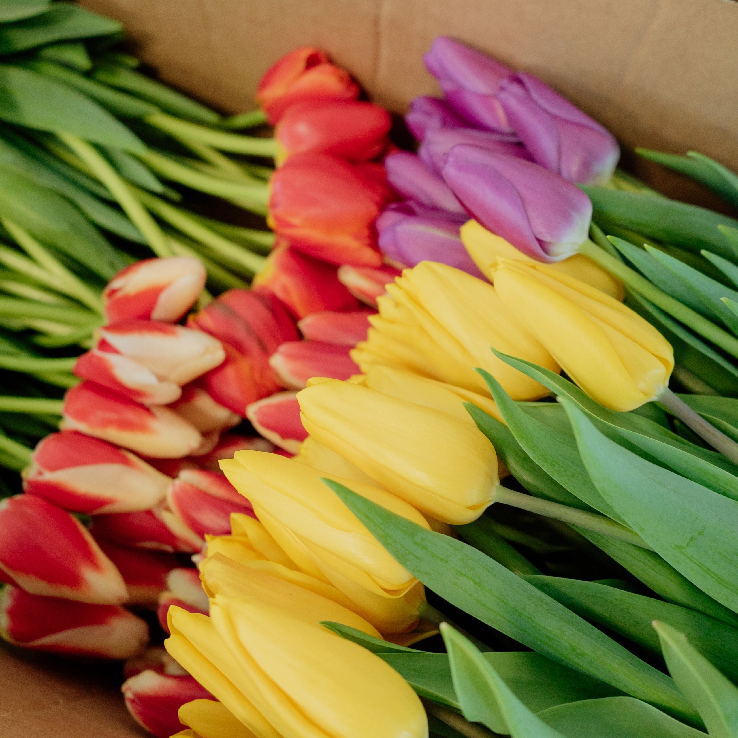 Отзывы. Фотограф Красноярск Машкина Татьяна