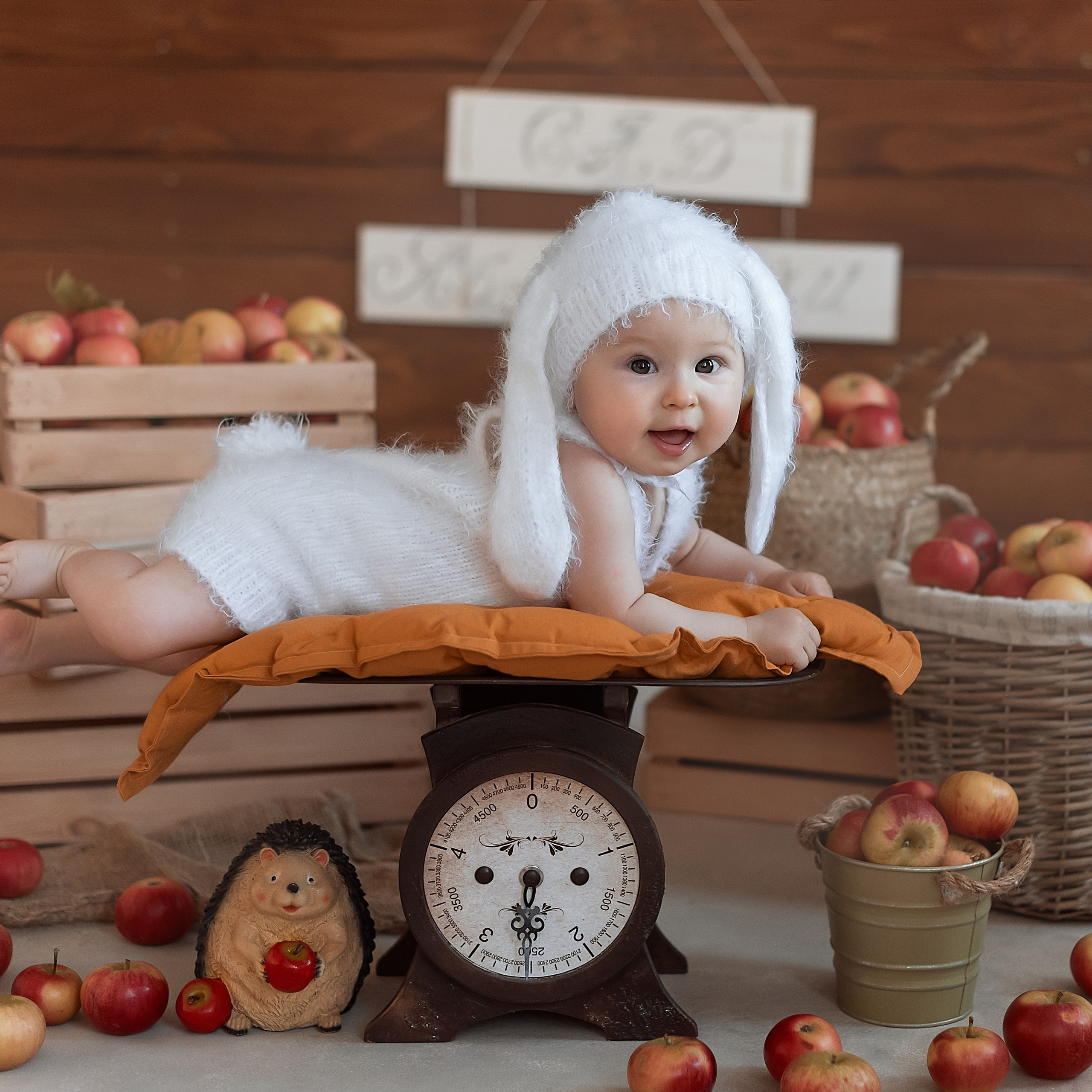 Осенняя с яблоками