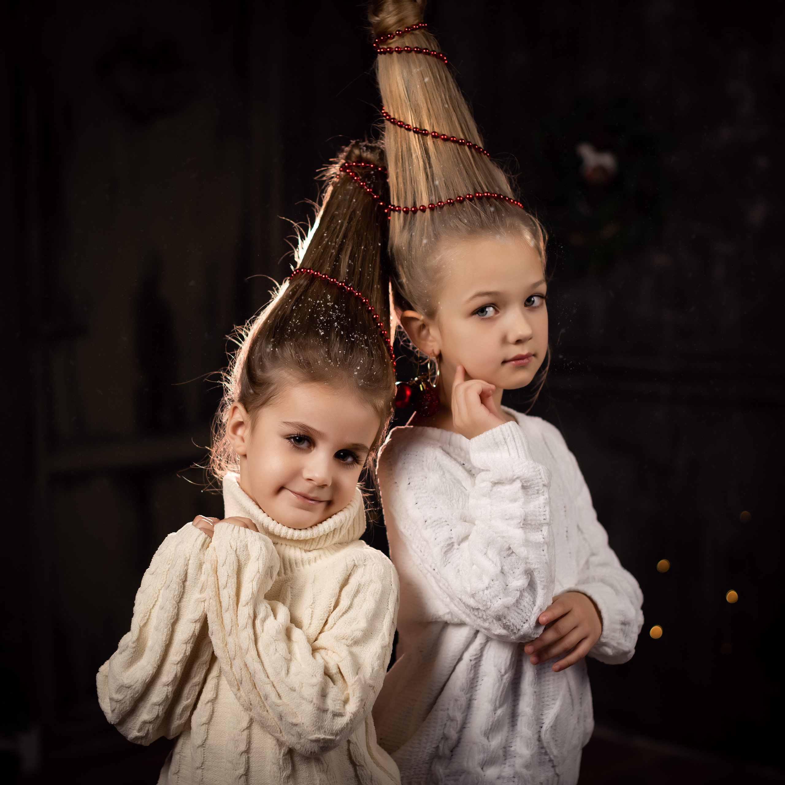 Фотопроект «новогодний портрет»