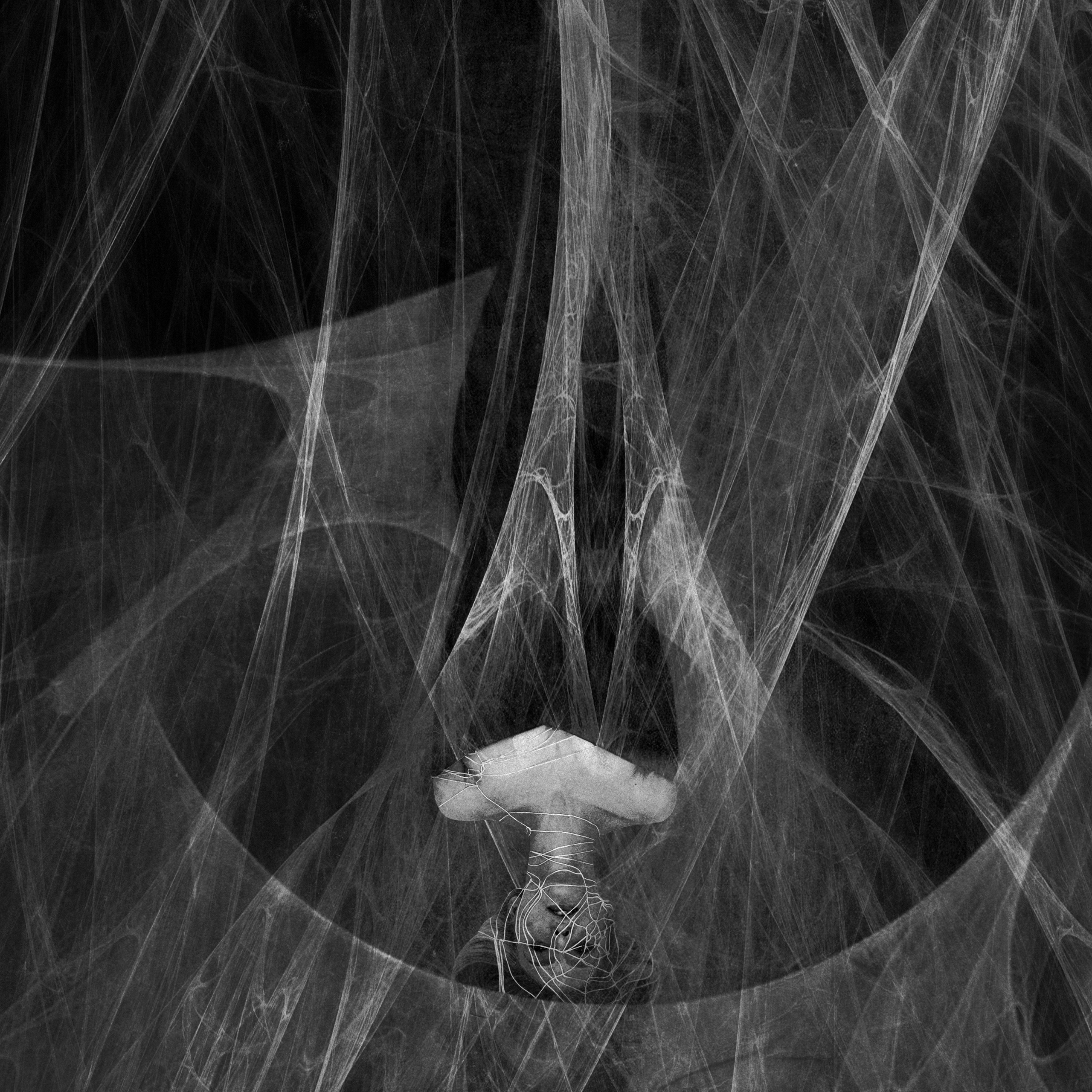 SPIDER. Арт-фотограф Егор Шабанов