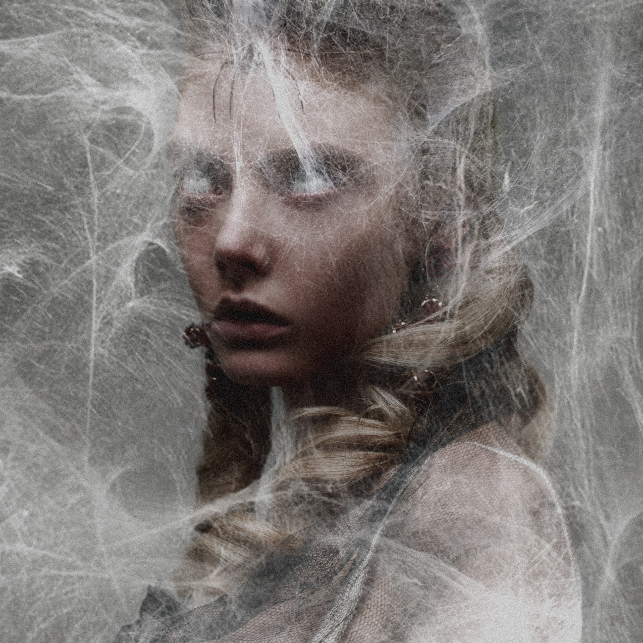 SPIDER. Арт-фотограф Егор Шабанов