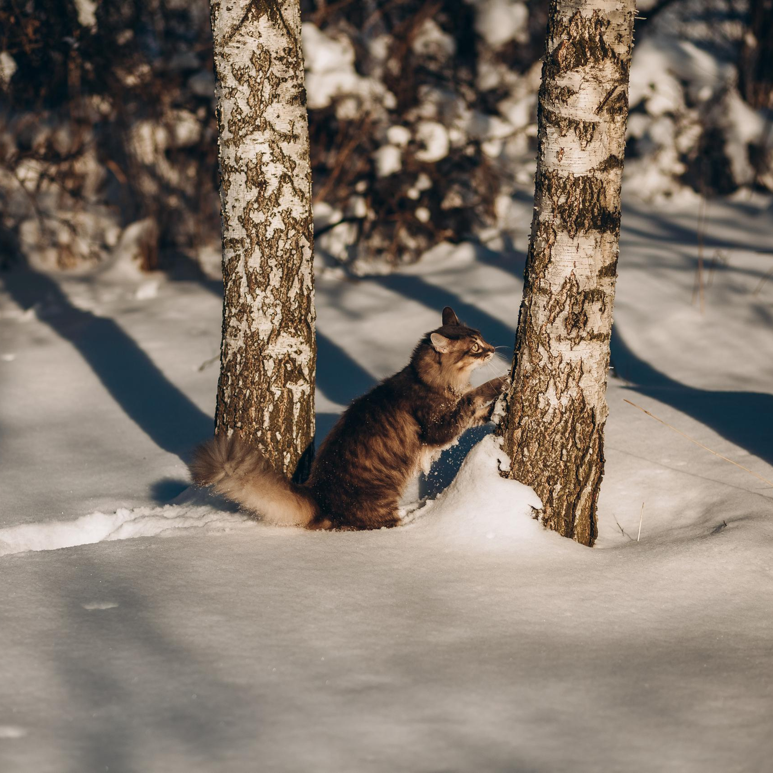Отзывы. Детский и семейный фотограф в Санкт-Петербурге и Ленинградской области