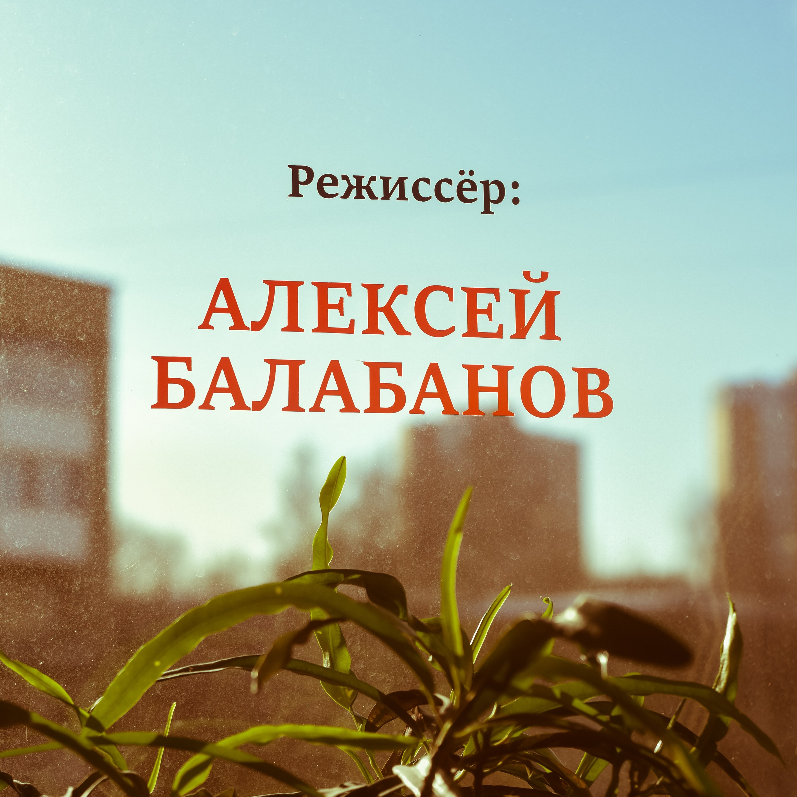 Квартира 99