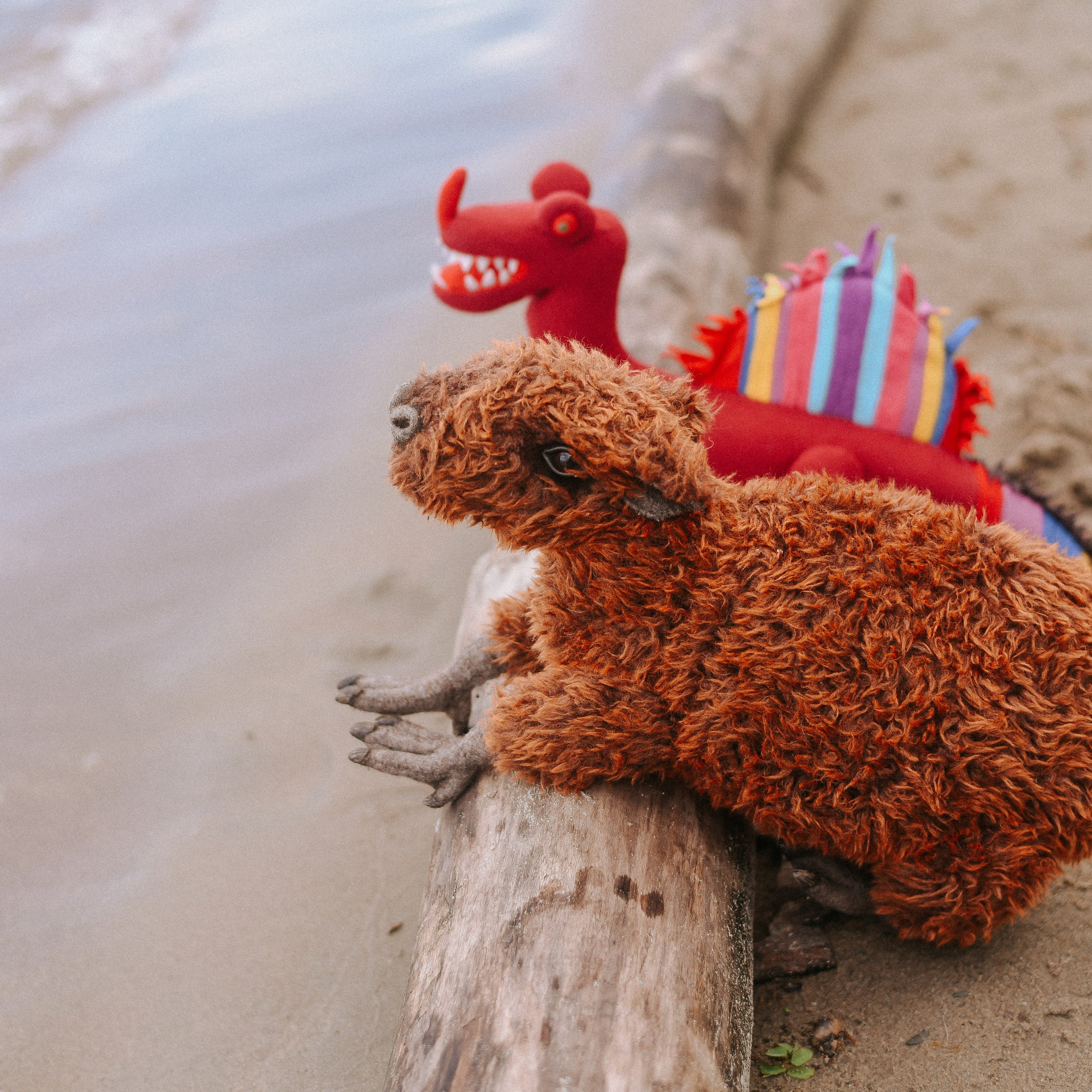 Берег, рак и капибара