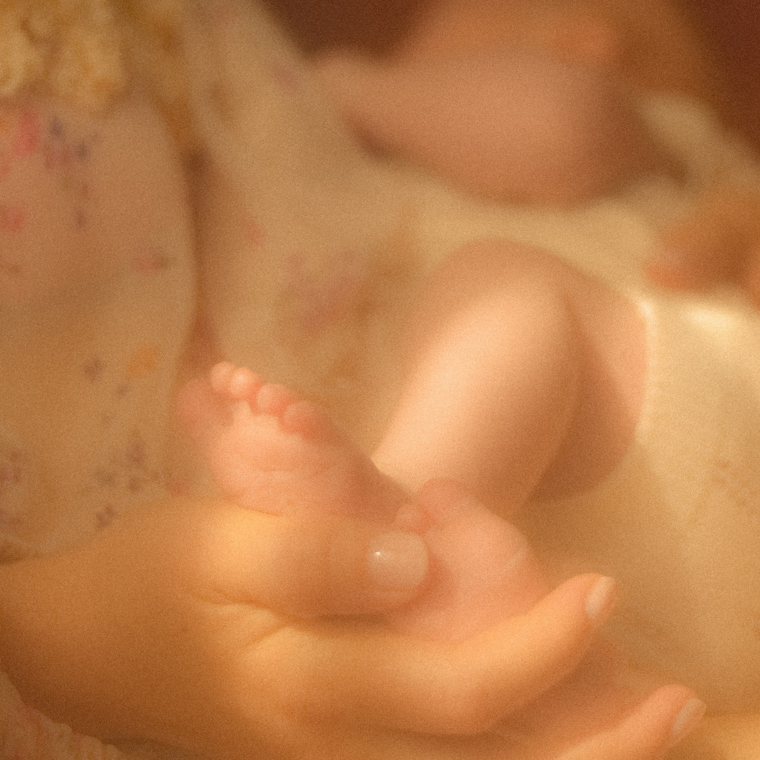 Эти восхитительные дни вместе