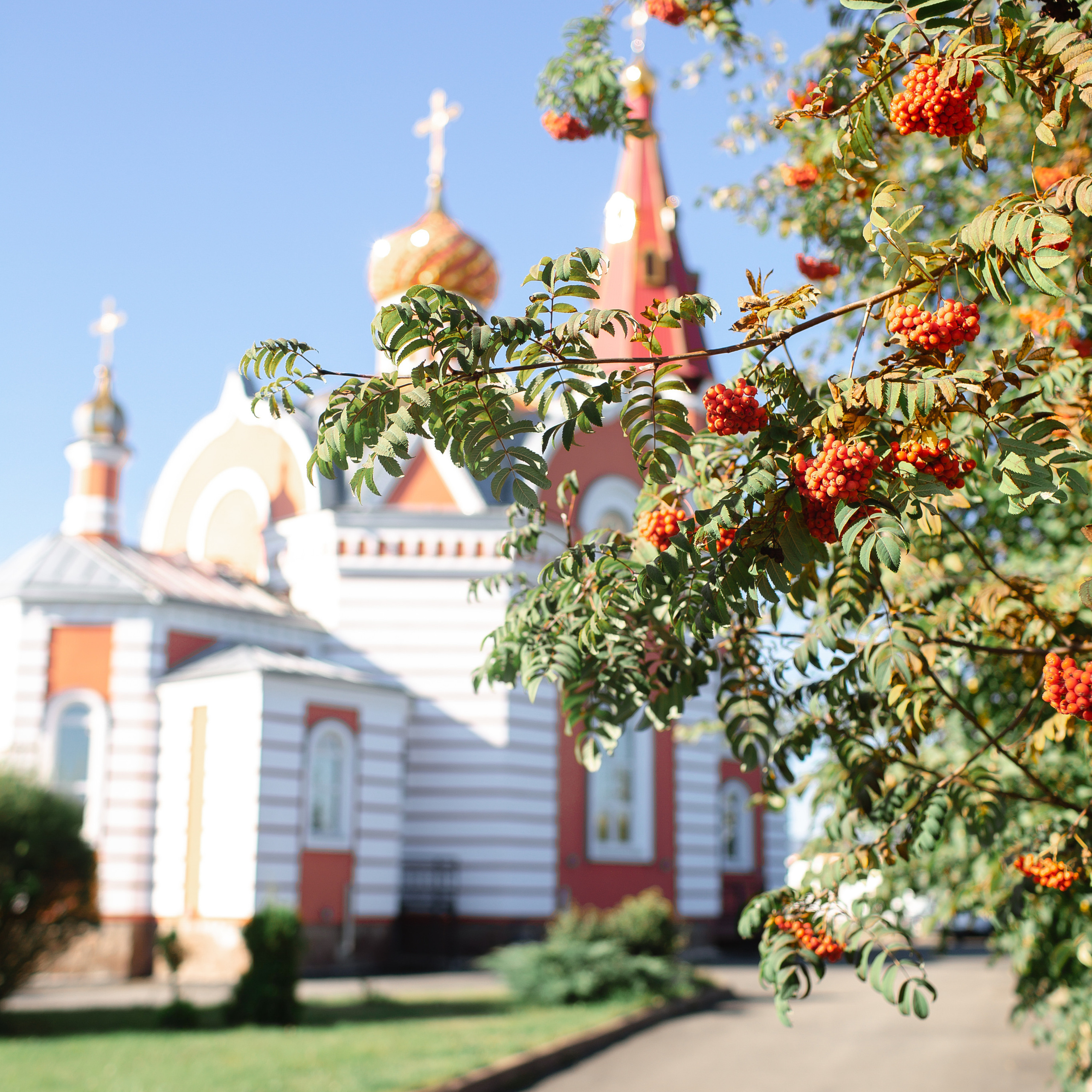 Отзывы. Фотограф Беременности и Новорождённых в Кемерово