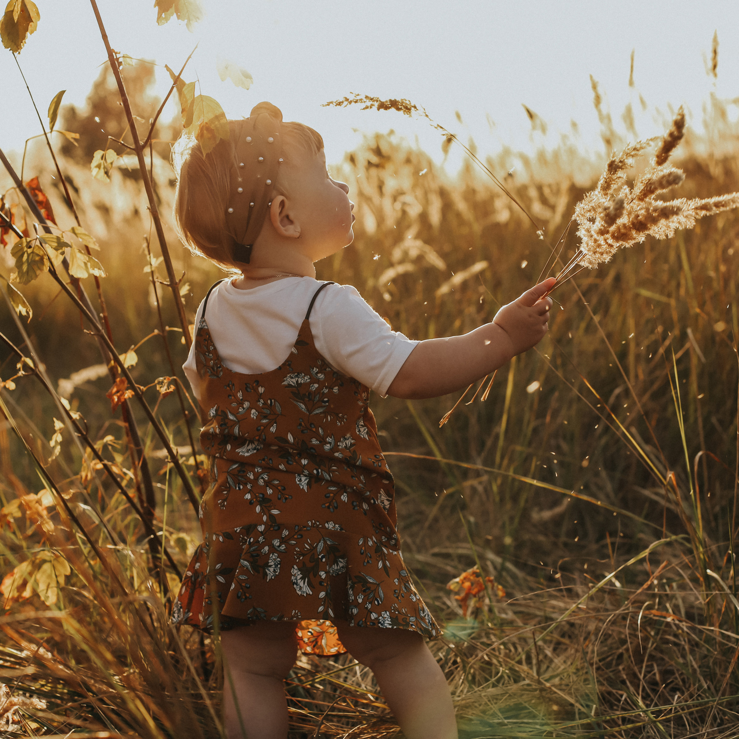 осеннее волшебство