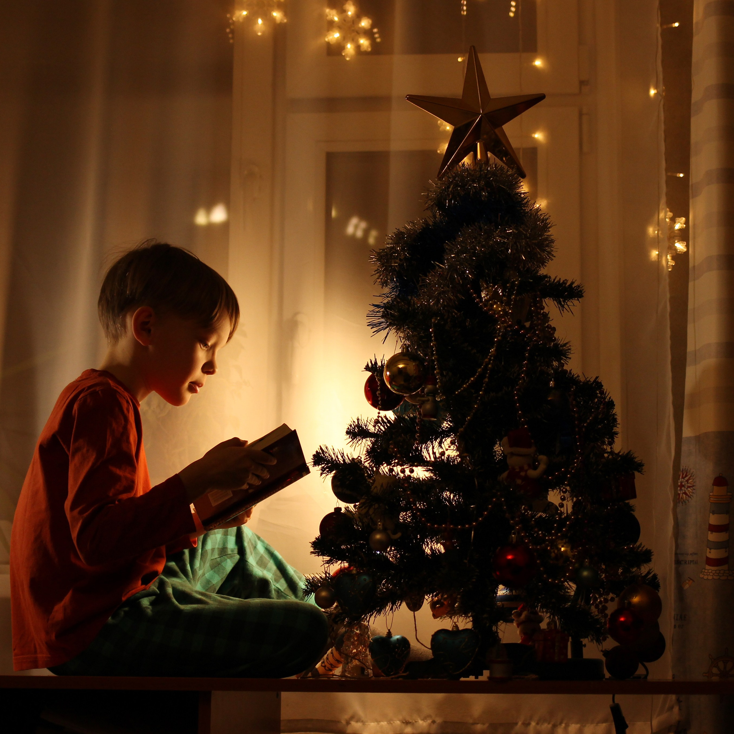 Новогодние семейные фотосессии