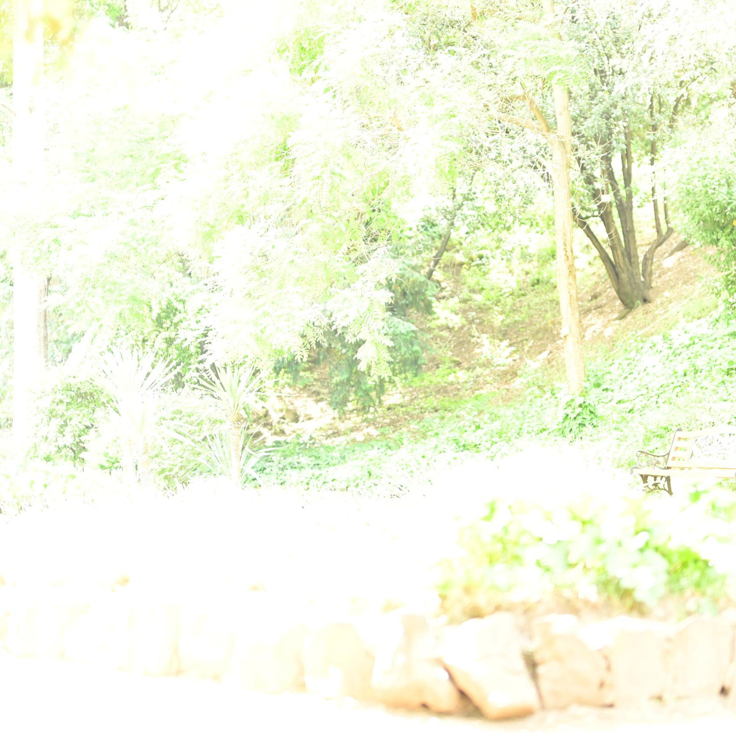 ОТЗЫВЫ. ОБУЧЕНИЕ ХУДОЖЕСТВЕННОЙ РЕТУШИ ФОТОГРАФИЙ. ФОТОГРАФ КАРАГАНДА