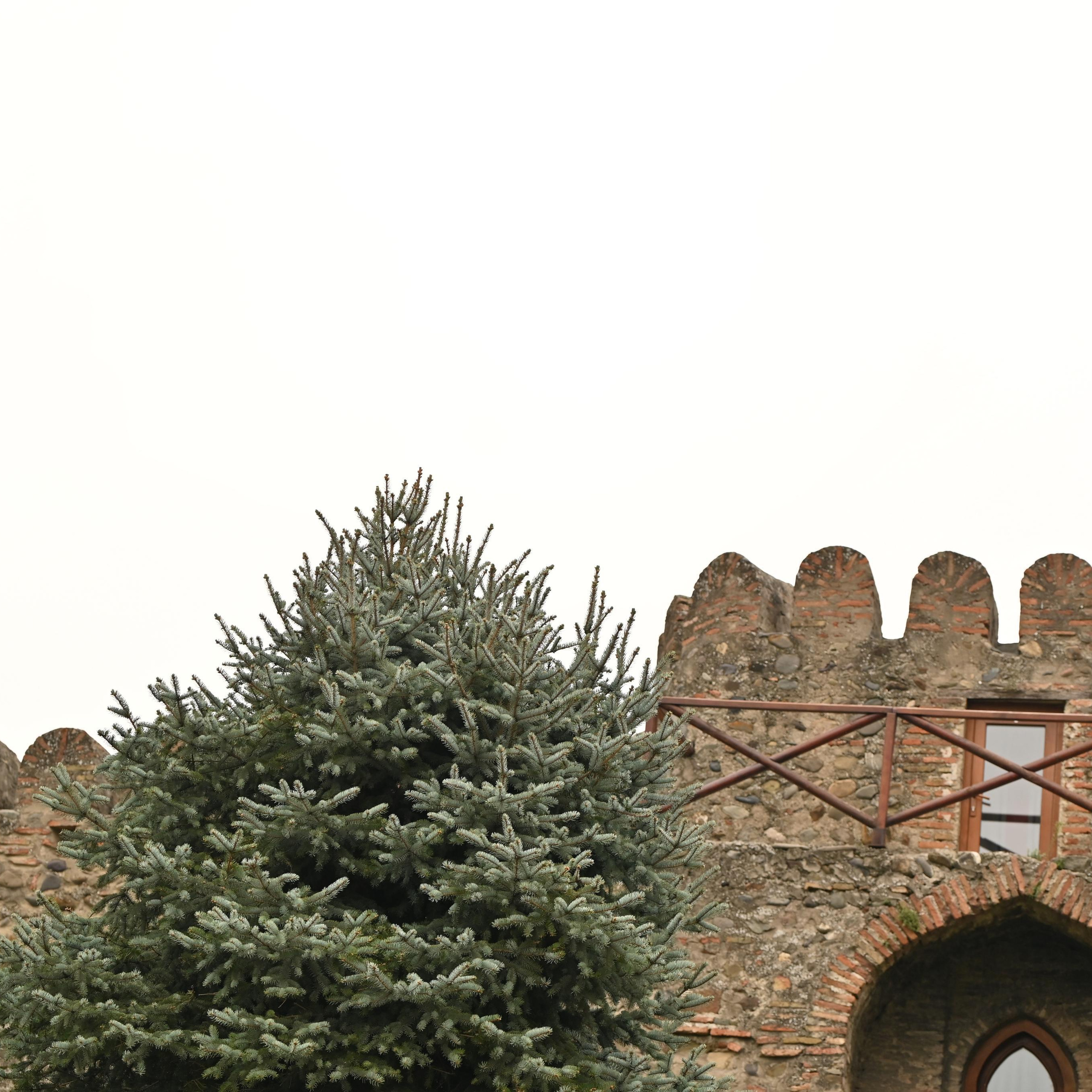 ОТЗЫВЫ. ОБУЧЕНИЕ ХУДОЖЕСТВЕННОЙ РЕТУШИ ФОТОГРАФИЙ. ФОТОГРАФ КАРАГАНДА