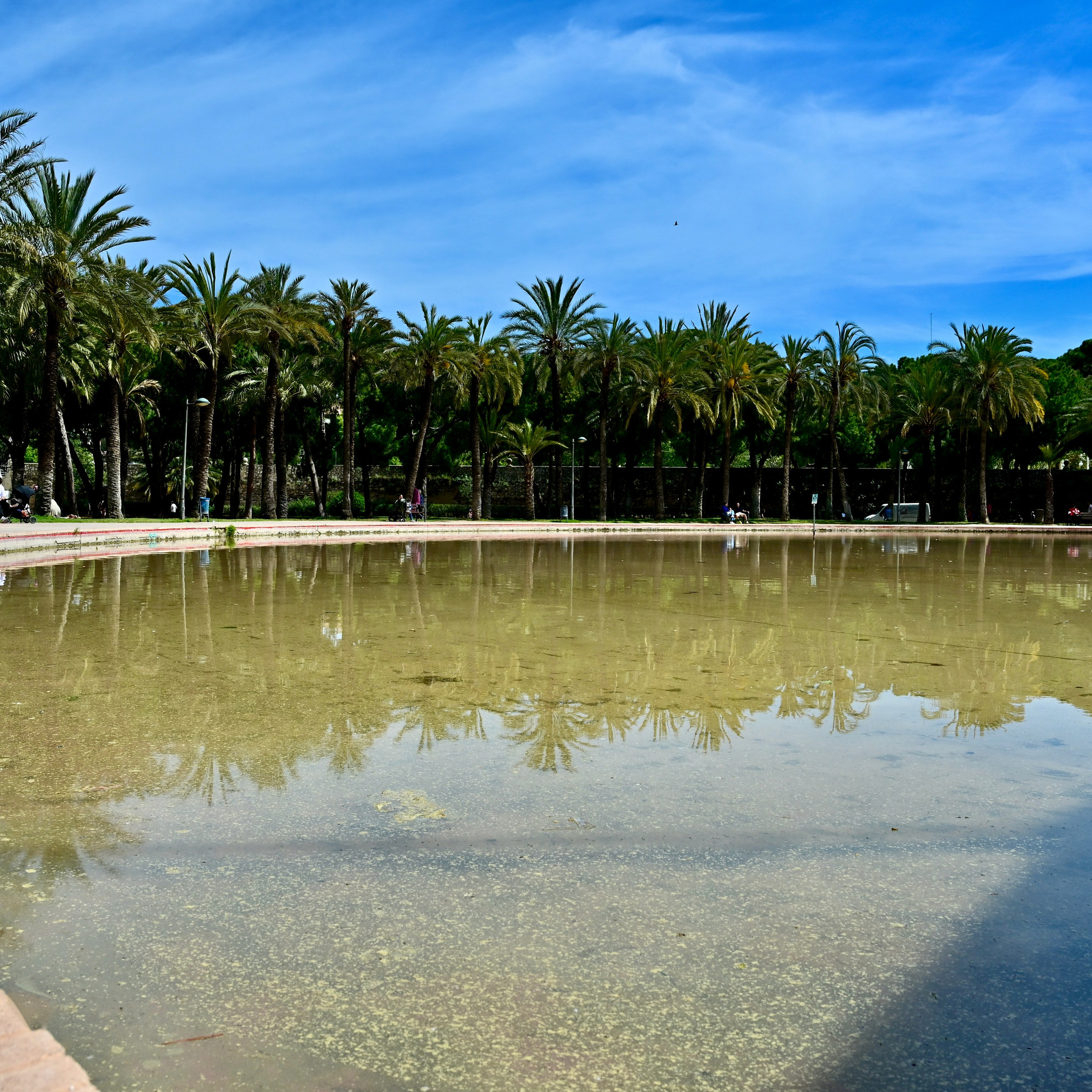 Парки Валенсии. Гид и фотограф в Валенсии Новиков Михаил