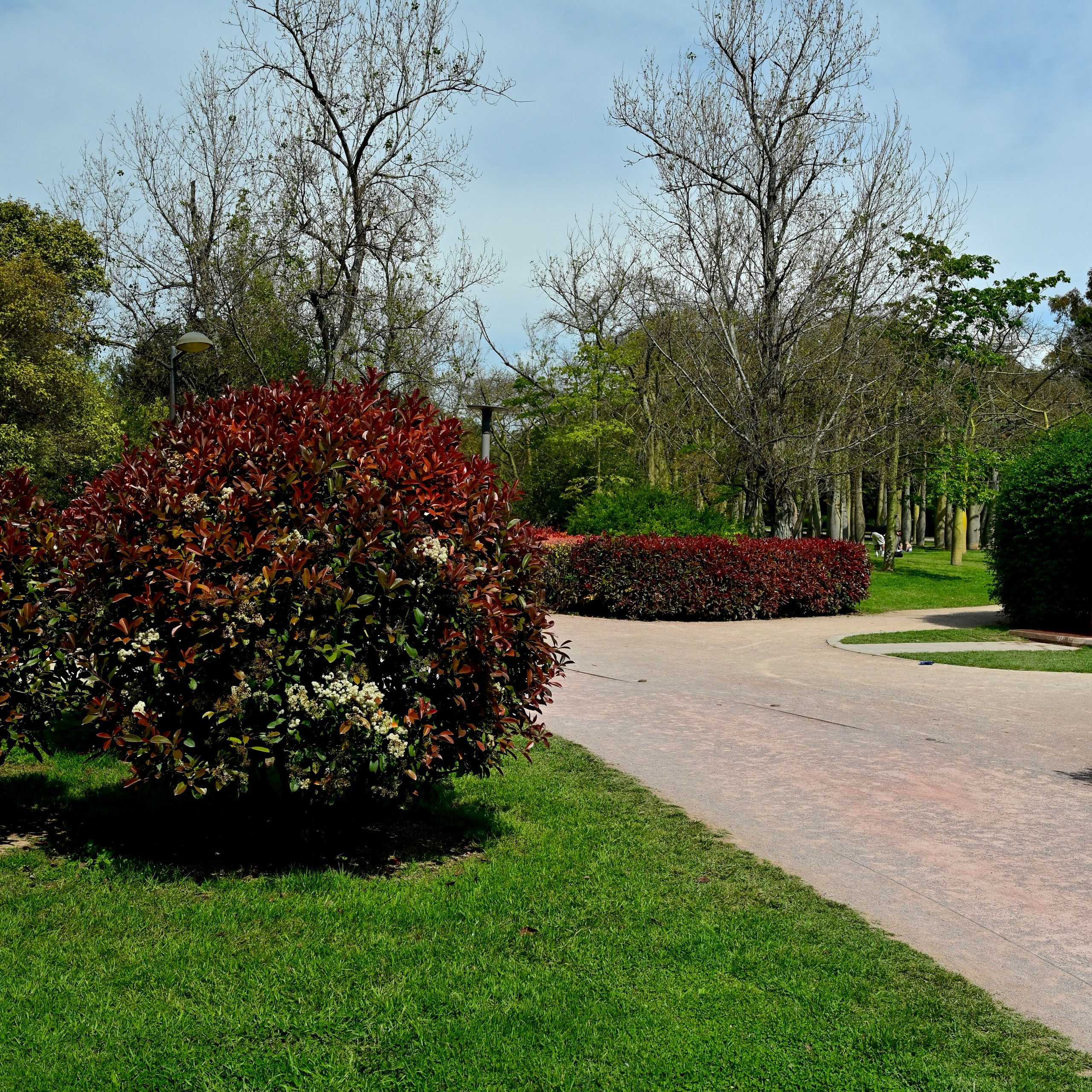 Парки Валенсии. Гид и фотограф в Валенсии Новиков Михаил