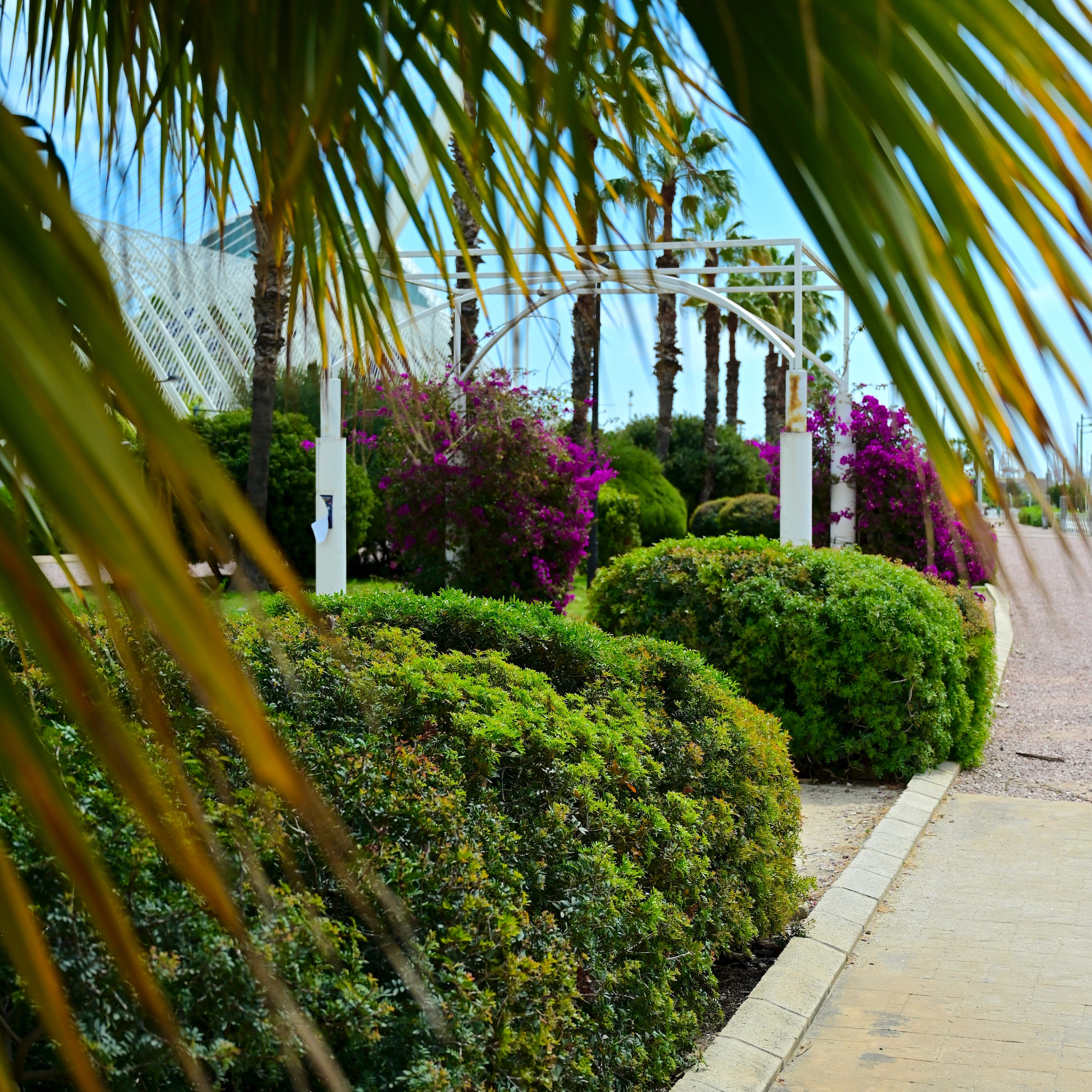 Парки Валенсии. Гид и фотограф в Валенсии Новиков Михаил