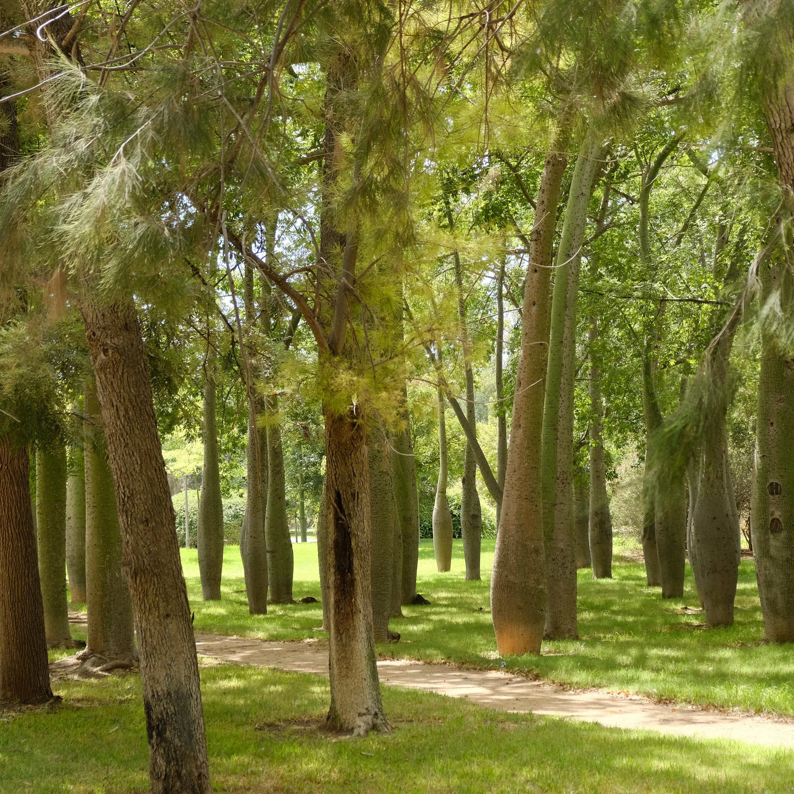 Парки Валенсии. Гид и фотограф в Валенсии Новиков Михаил