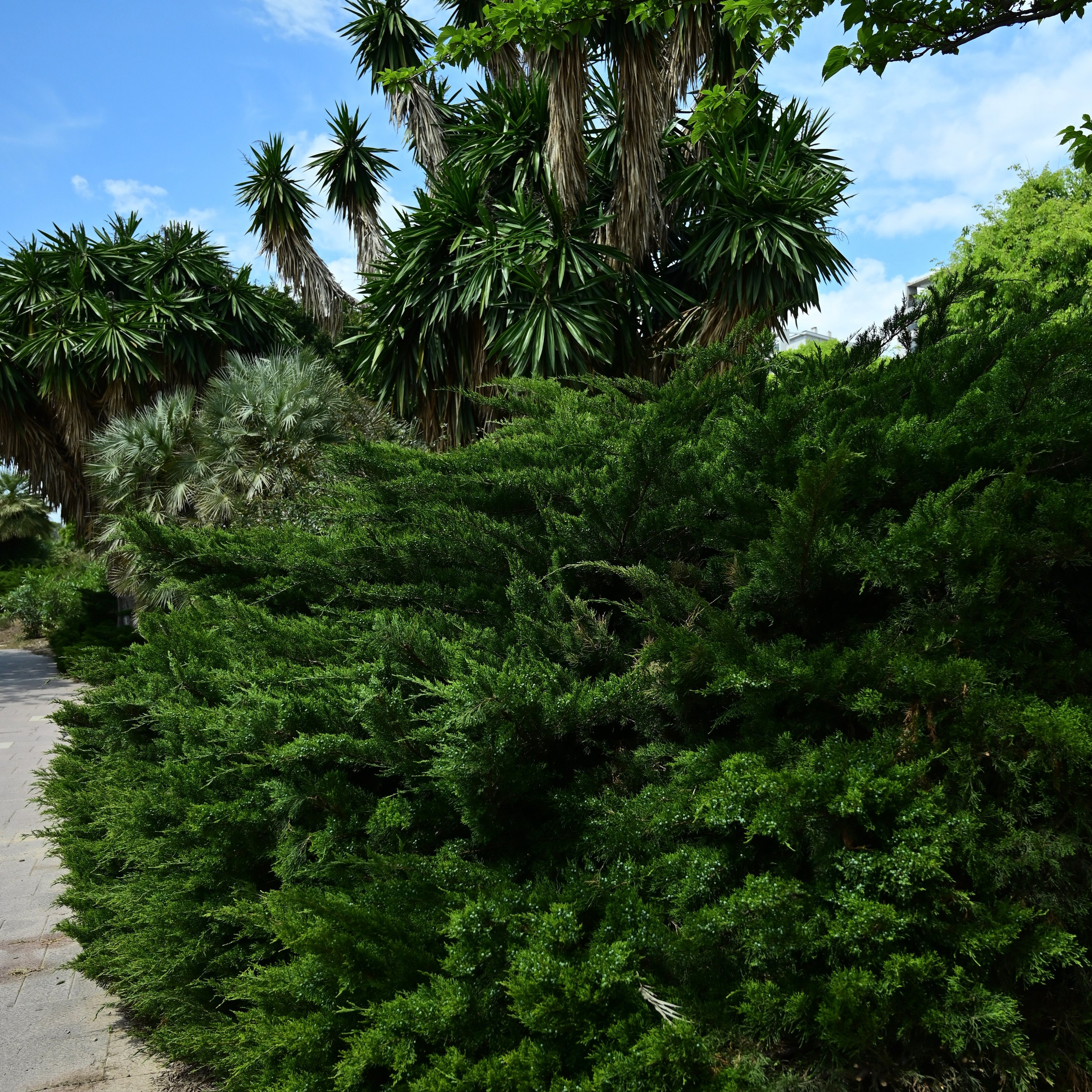 Парки Валенсии. Гид и фотограф в Валенсии Новиков Михаил