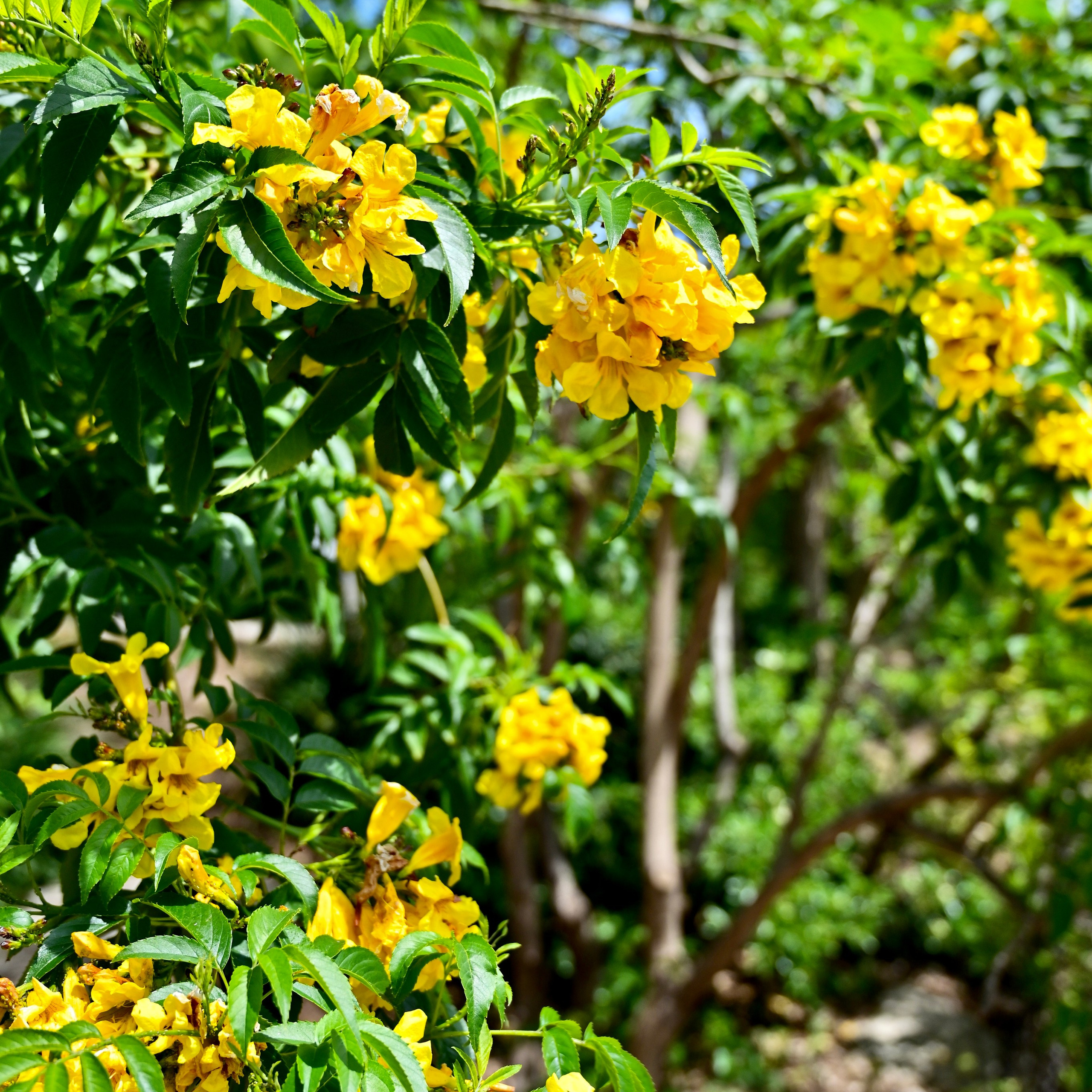 Парки Валенсии. Гид и фотограф в Валенсии Новиков Михаил