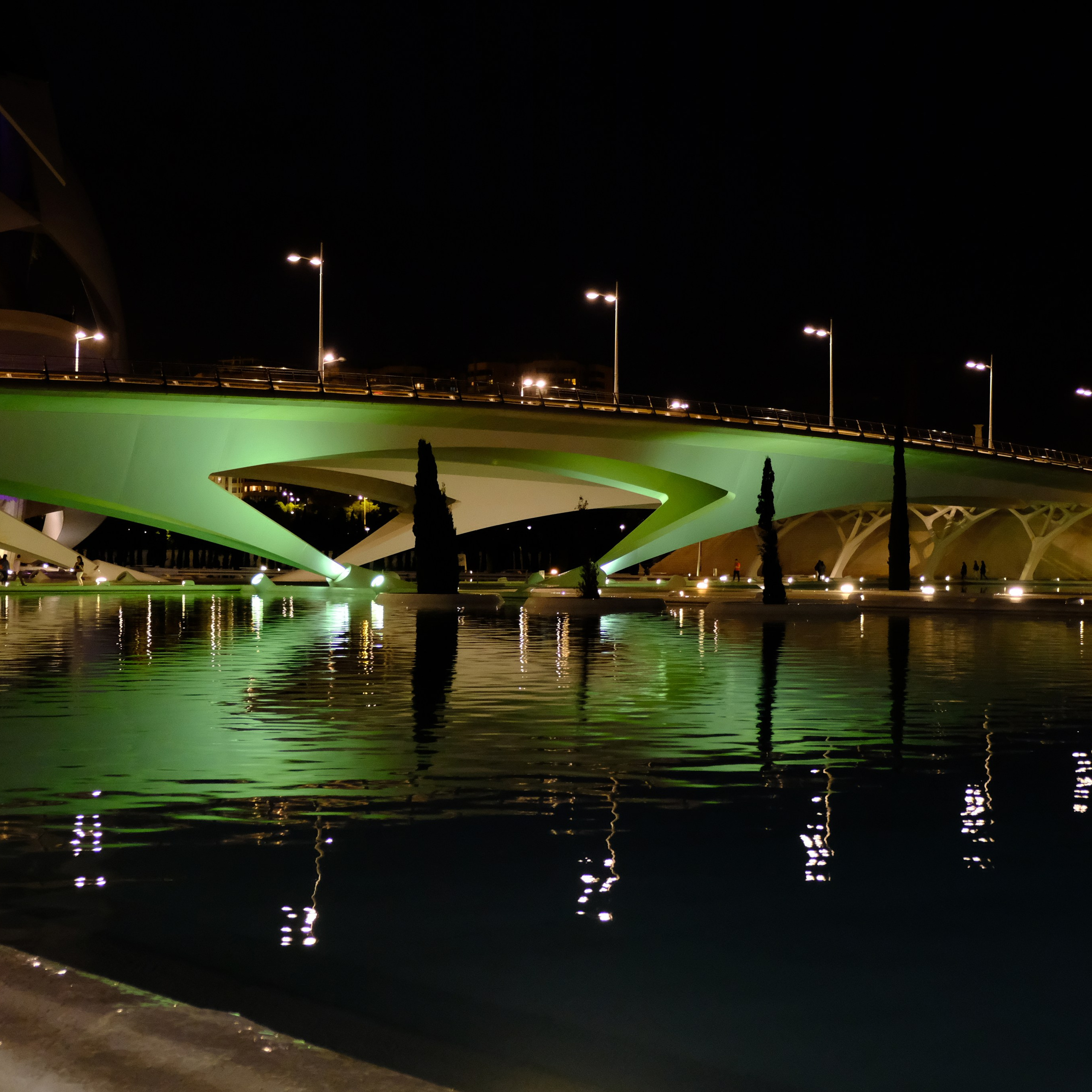 Анонсы. Гид и фотограф в Валенсии Новиков Михаил