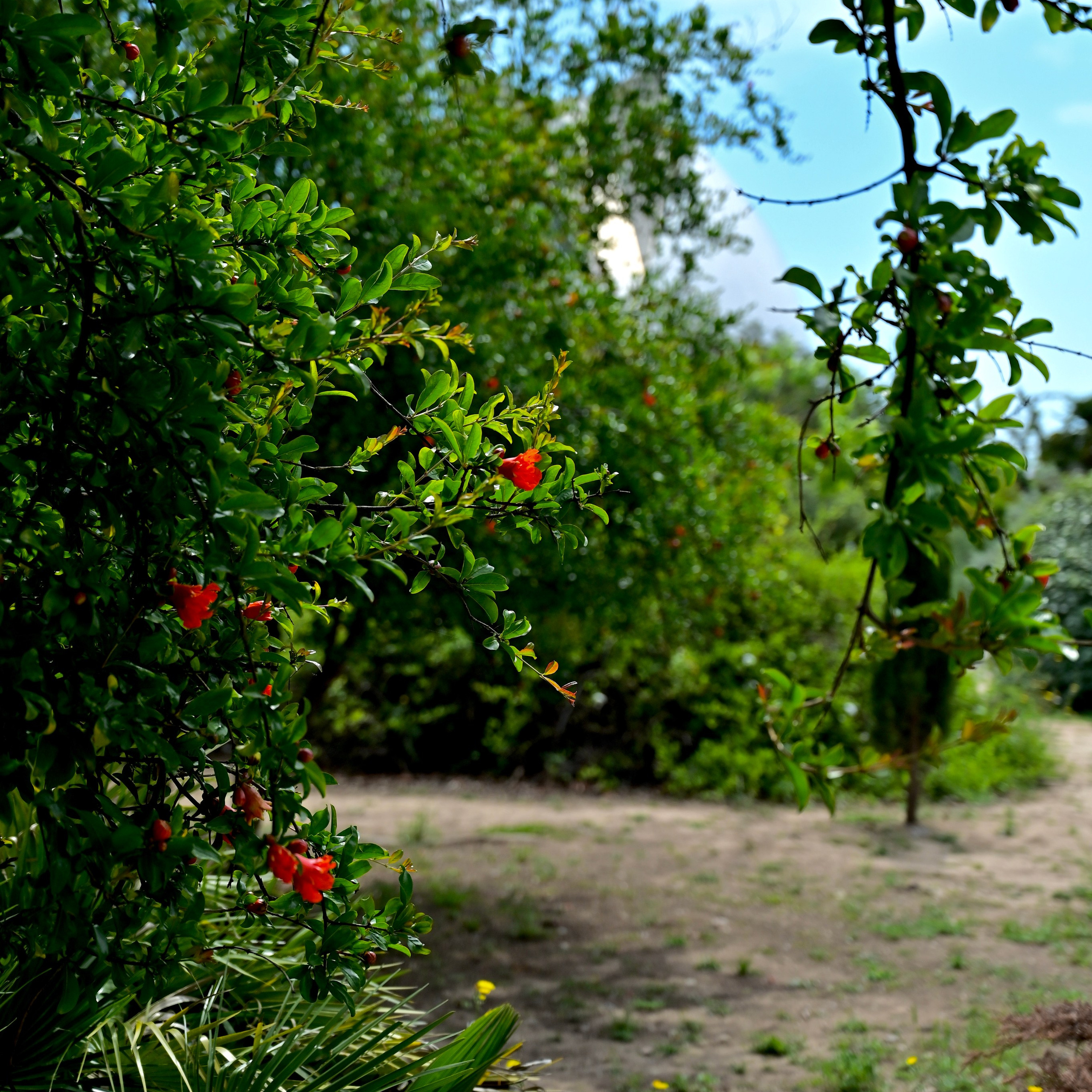 Парки Валенсии. Гид и фотограф в Валенсии Новиков Михаил