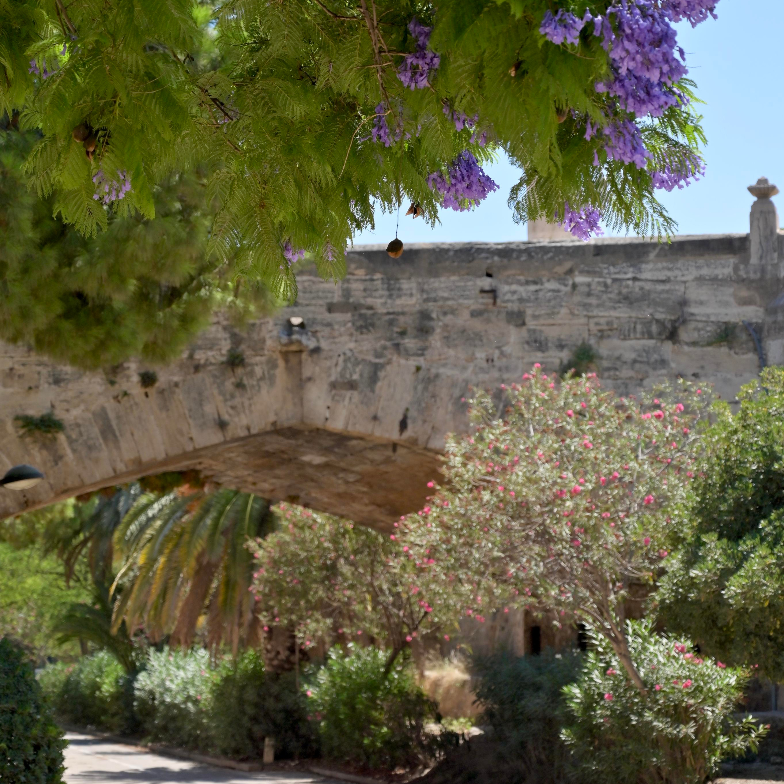Парки Валенсии. Гид и фотограф в Валенсии Новиков Михаил
