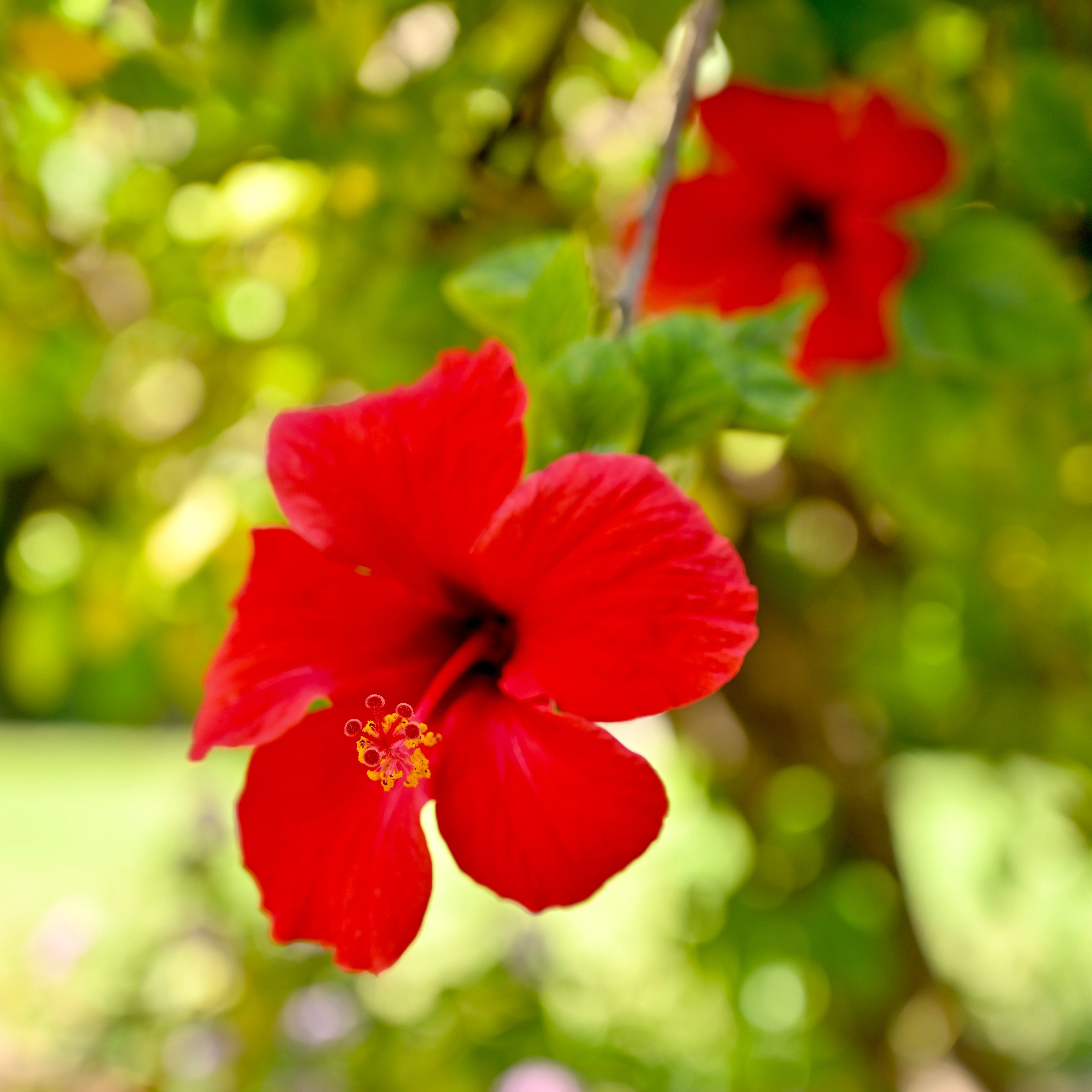 Парки Валенсии. Гид и фотограф в Валенсии Новиков Михаил