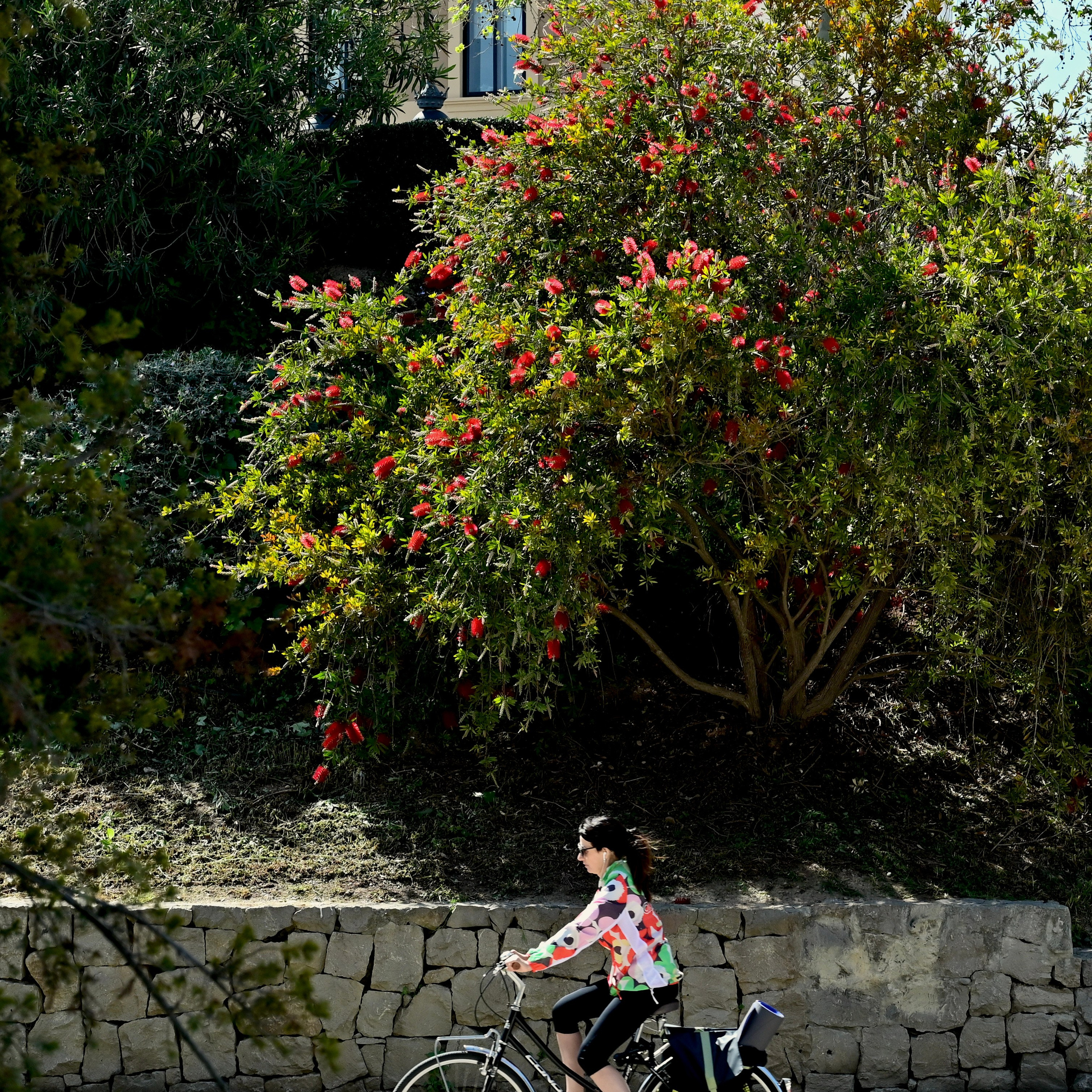 Парки Валенсии. Гид и фотограф в Валенсии Новиков Михаил