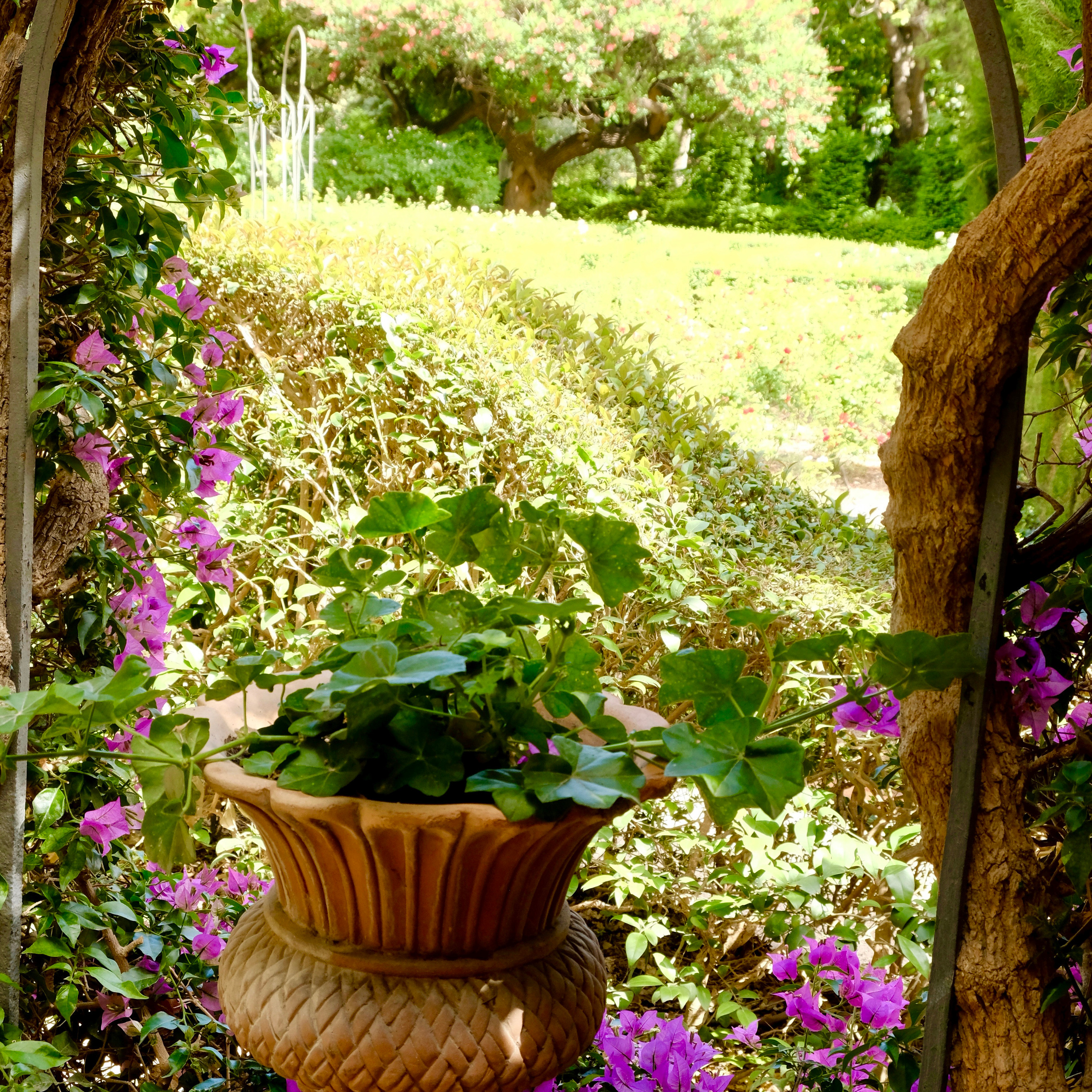 Сад Монфорт (Валенсия, Испания)