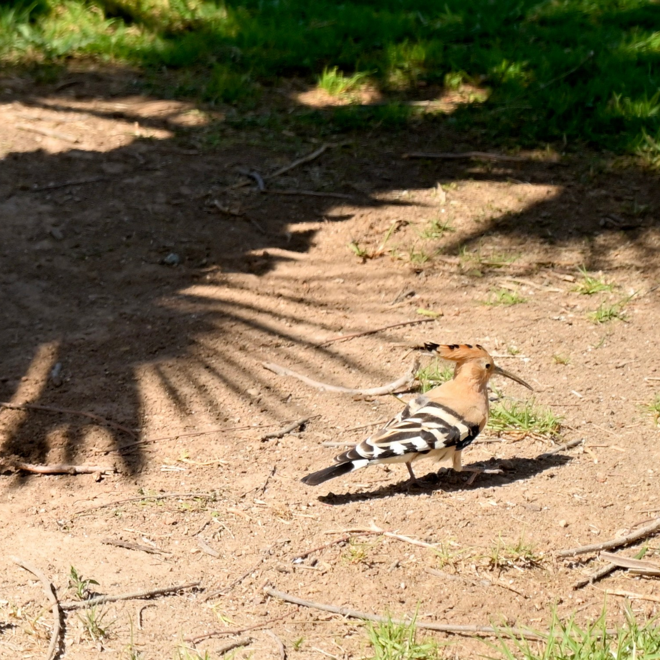 Парки Валенсии. Гид и фотограф в Валенсии Новиков Михаил