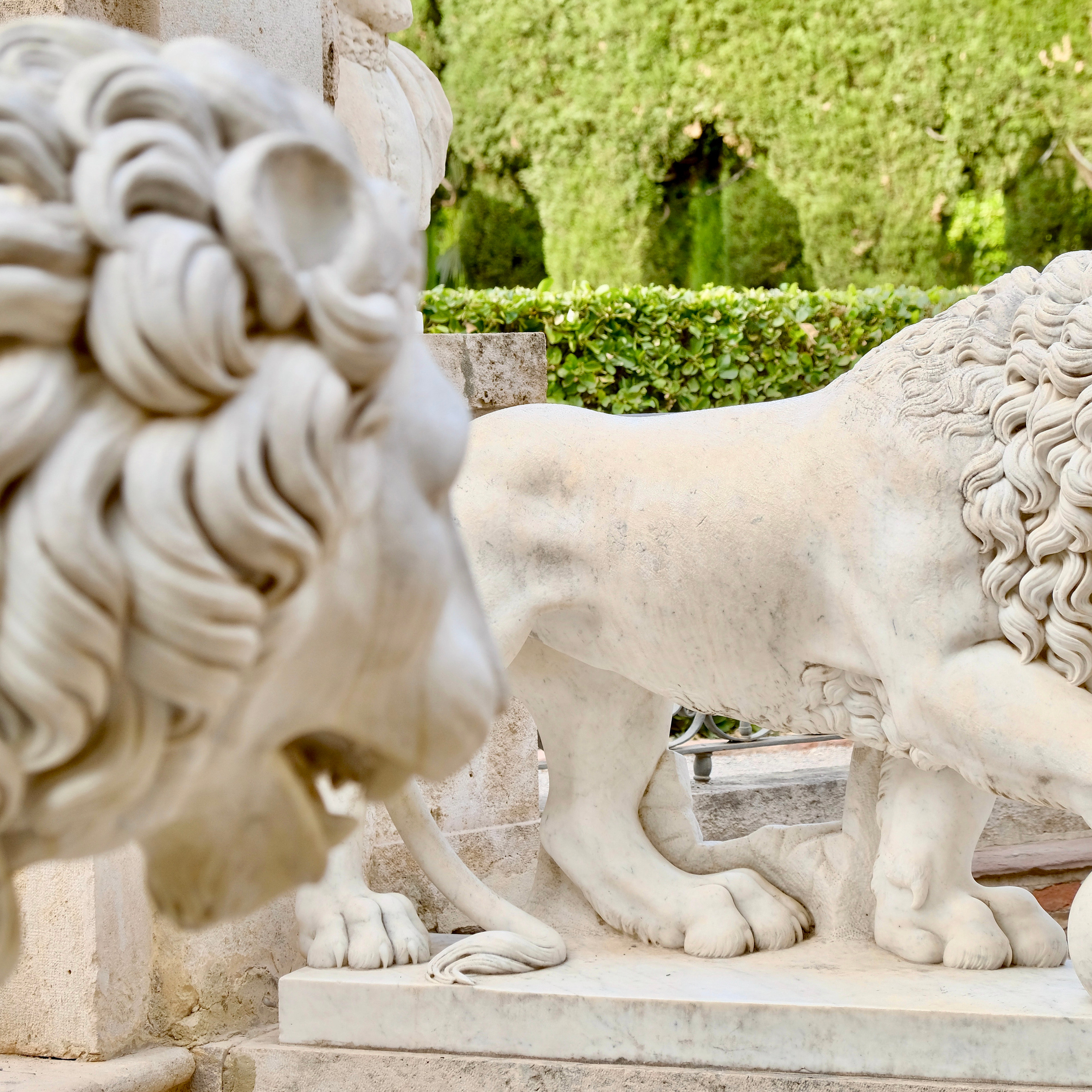 Сад Монфорт (Валенсия, Испания)