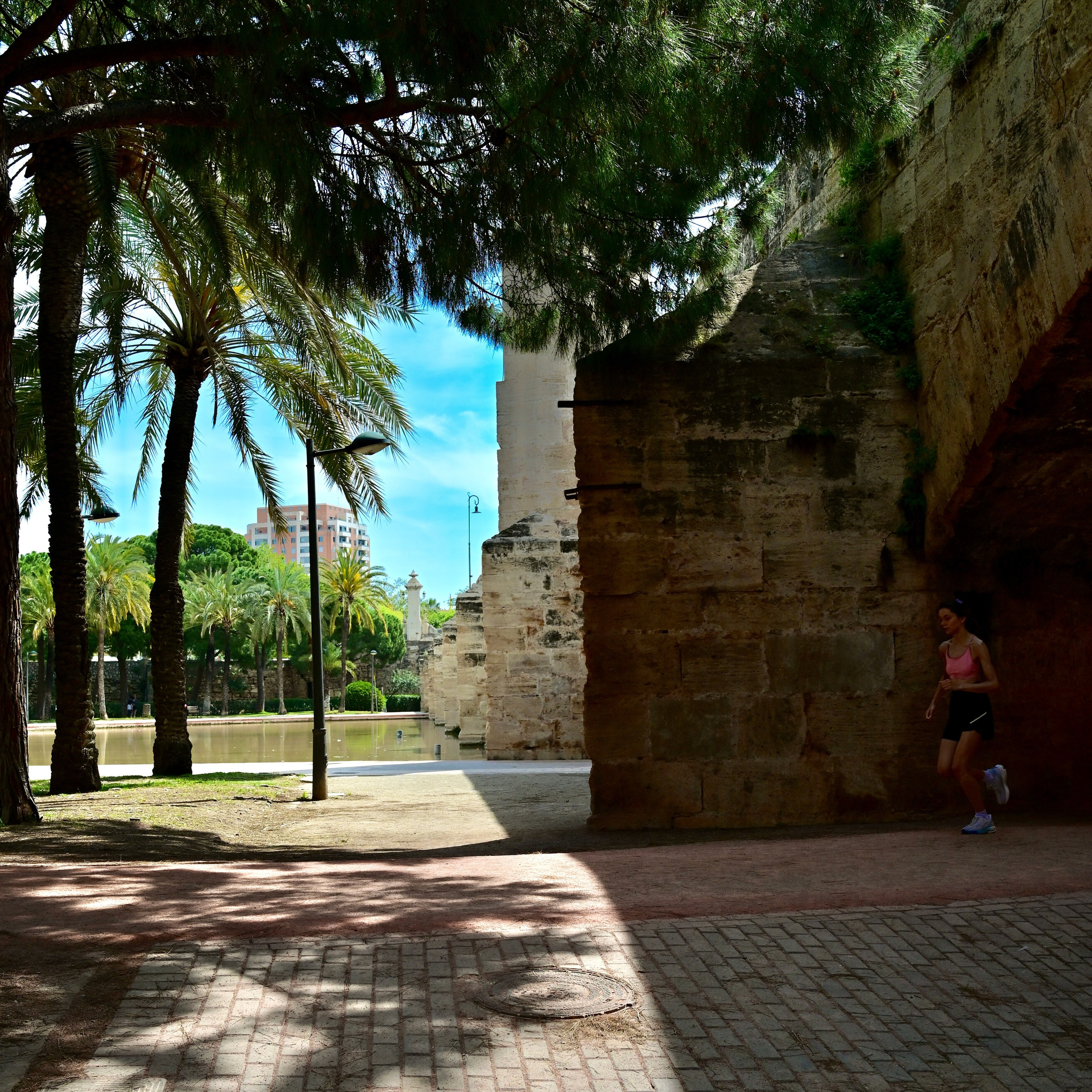 Парки Валенсии. Гид и фотограф в Валенсии Новиков Михаил