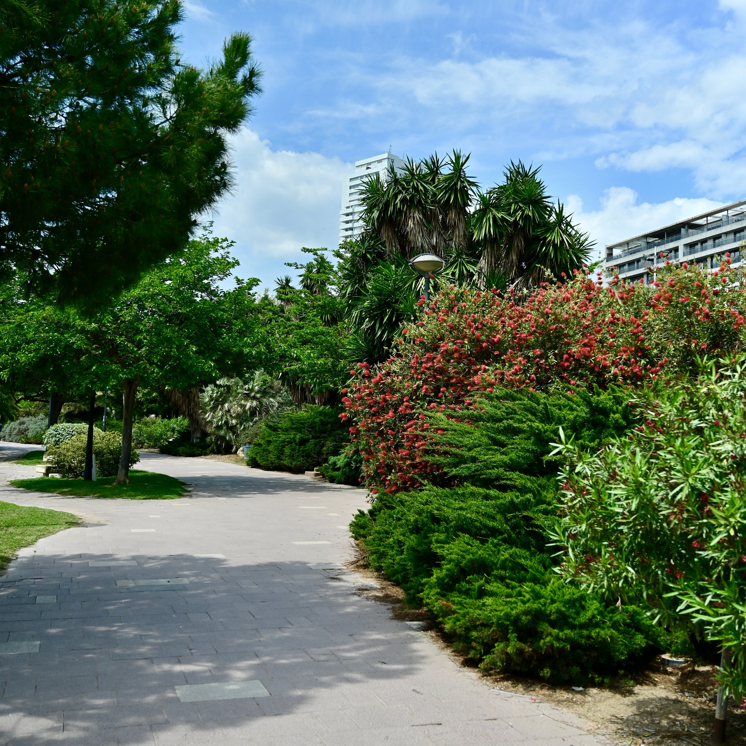 Парки Валенсии. Гид и фотограф в Валенсии Новиков Михаил