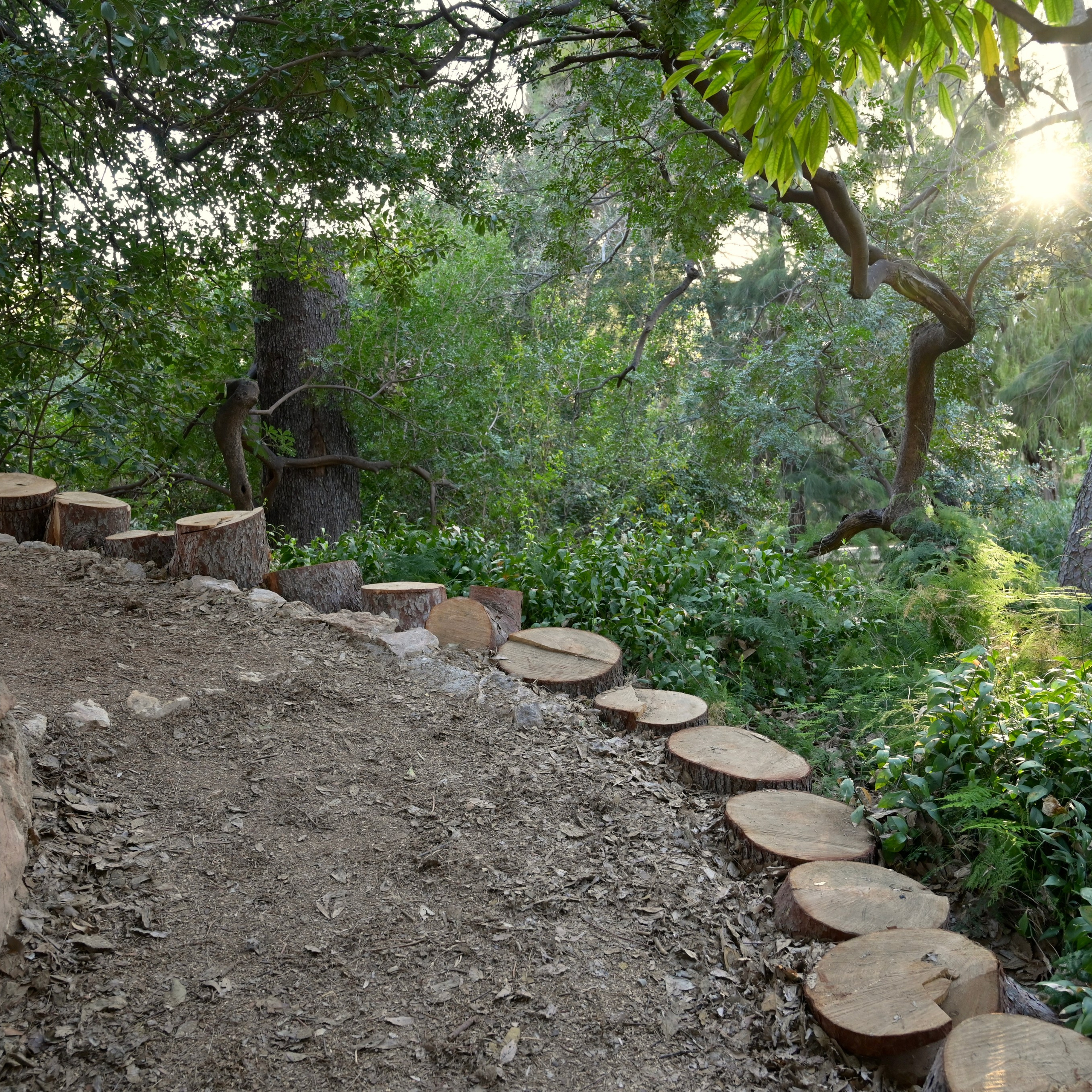 Сад Монфорт. Гид и фотограф в Валенсии Новиков Михаил