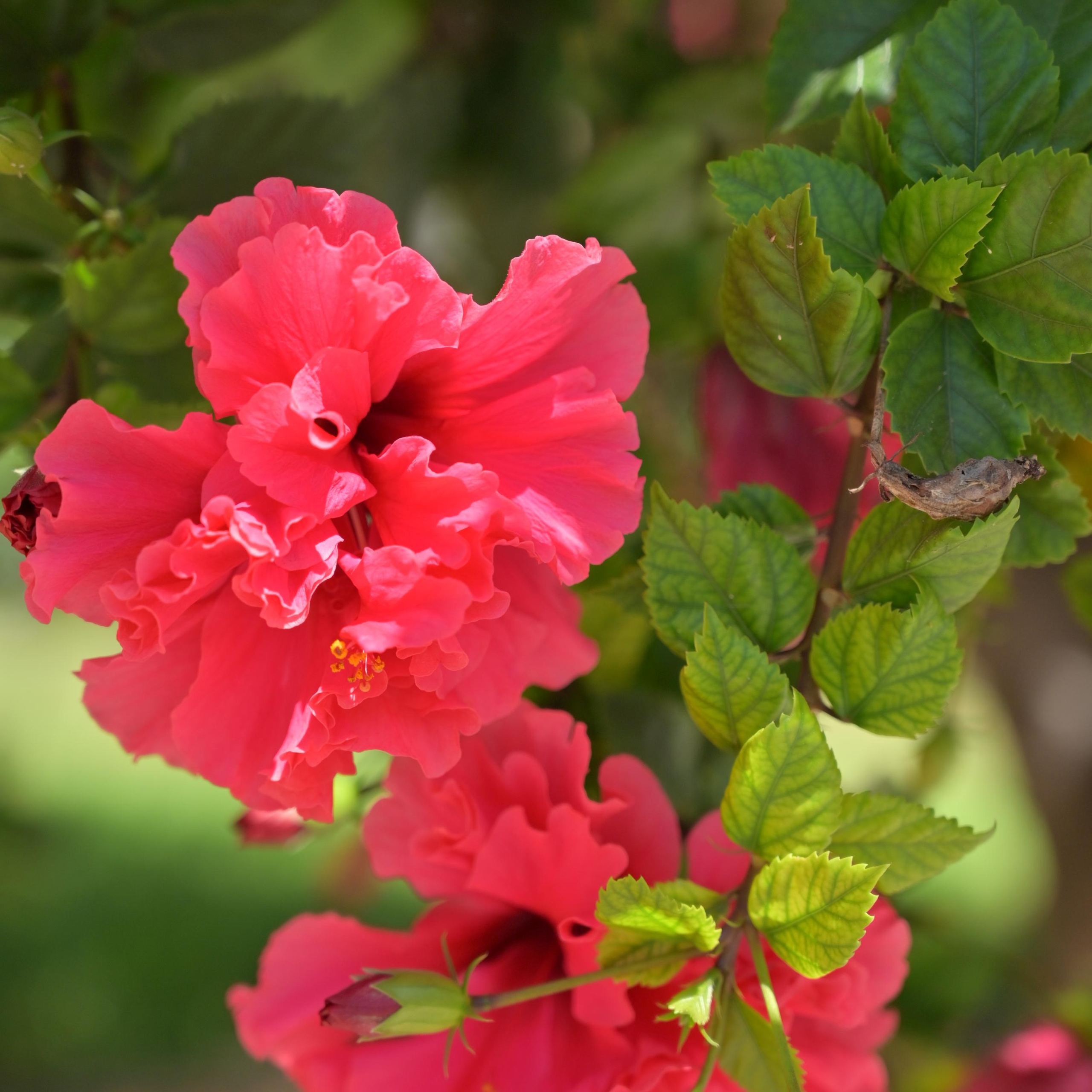 Парки Валенсии. Гид и фотограф в Валенсии Новиков Михаил