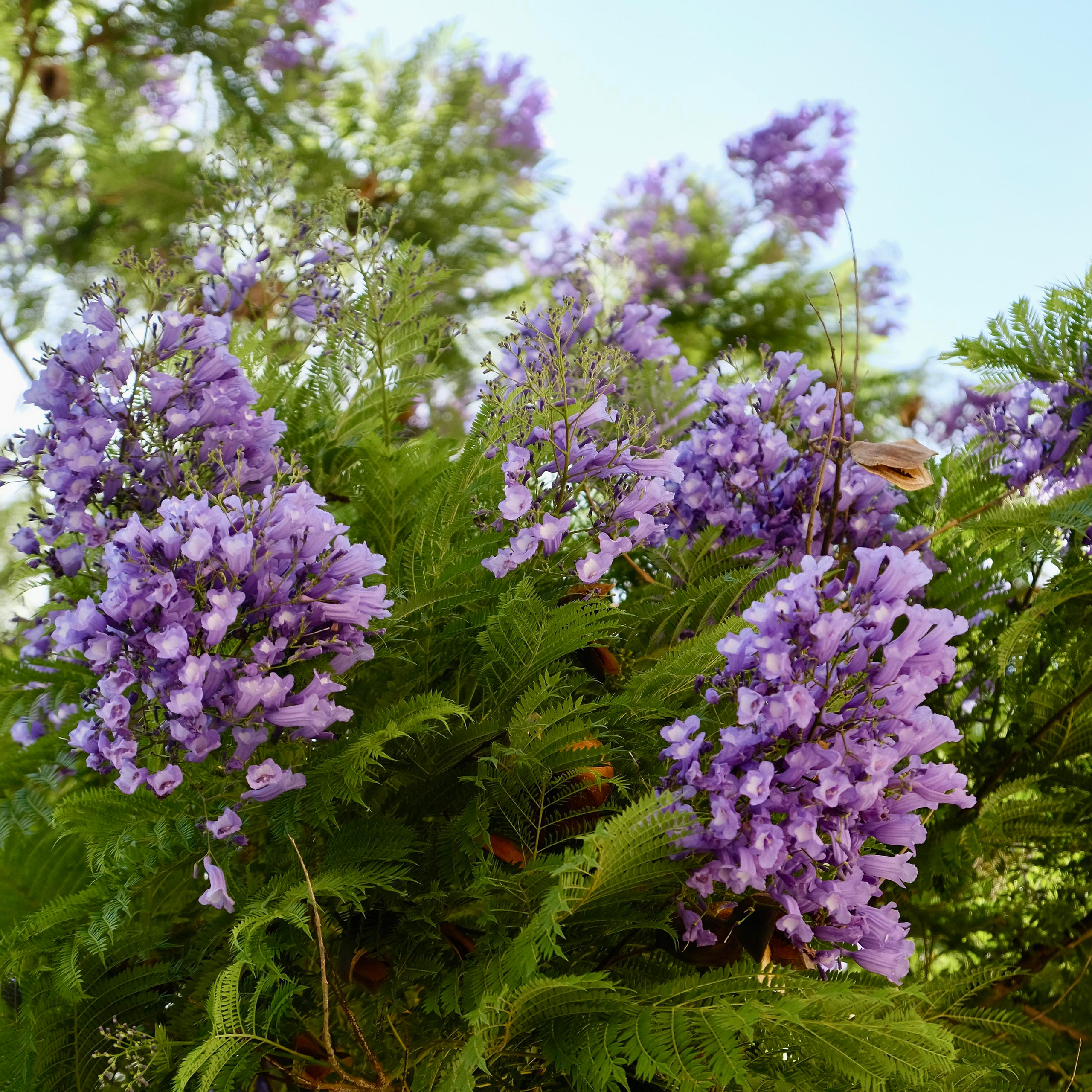 Парки Валенсии. Гид и фотограф в Валенсии Новиков Михаил