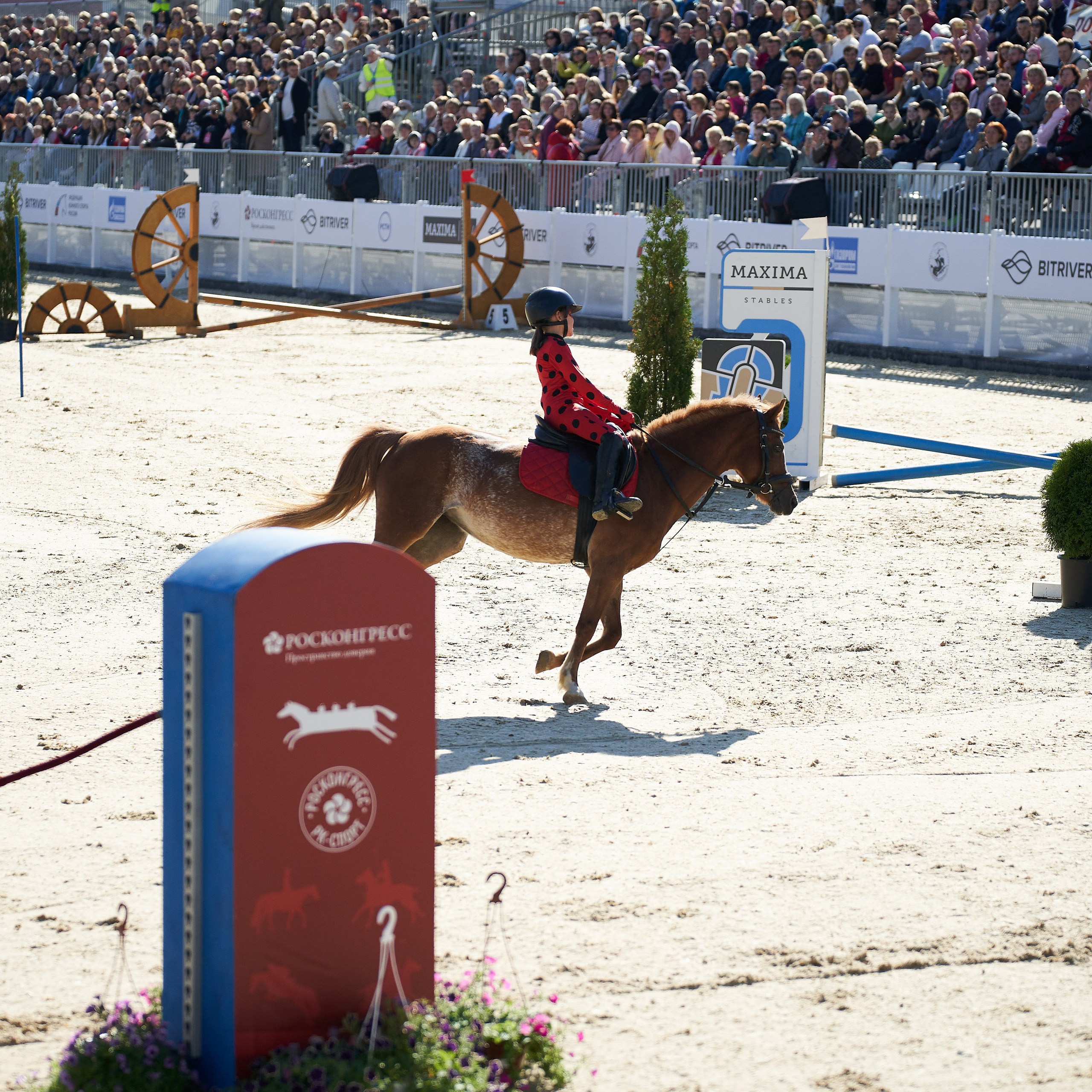 Reviews. Reportage event photographer in Moscow Alexander Gladkiy