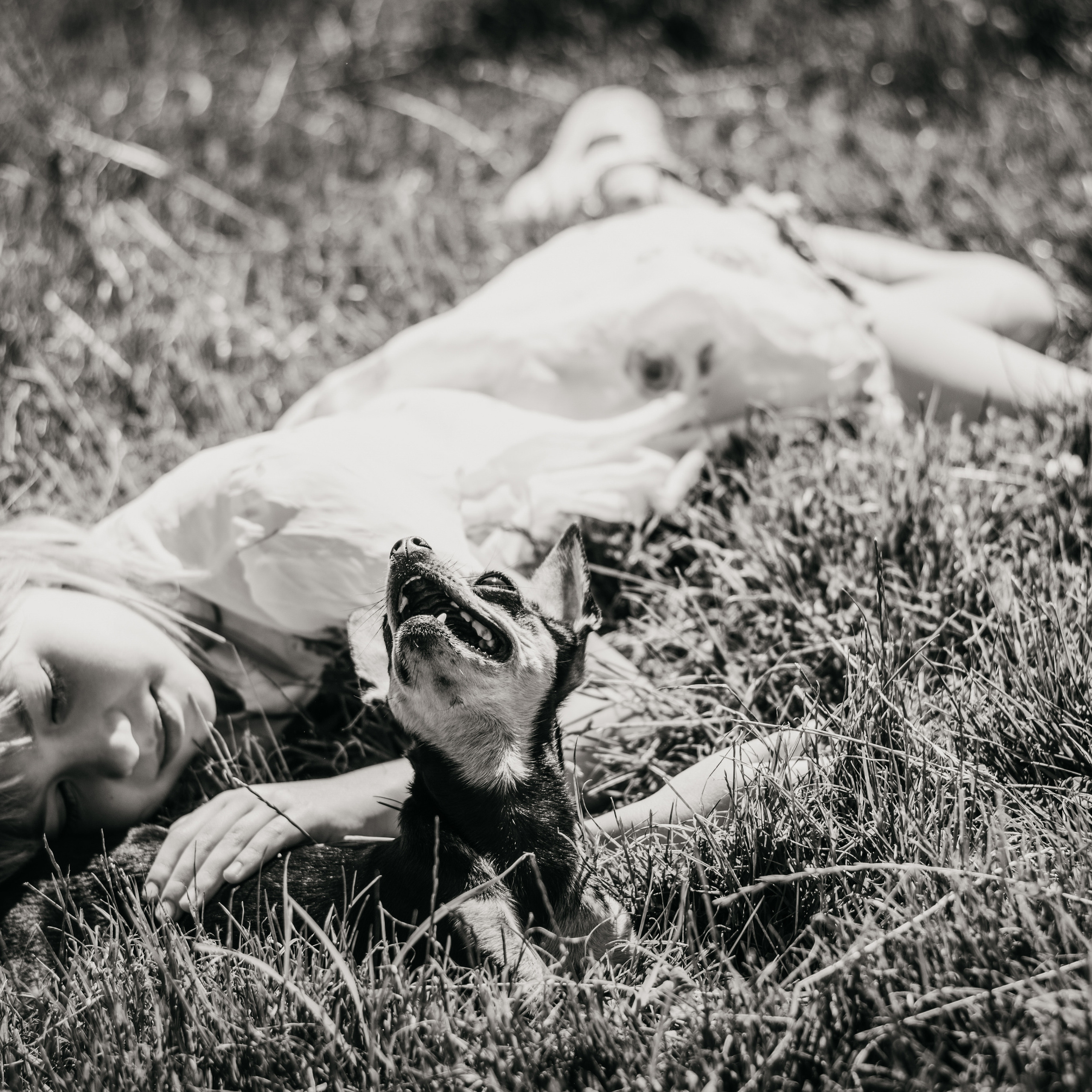 Отзывы. Семейный и детский фотограф в Крыму Ольга Кравцова