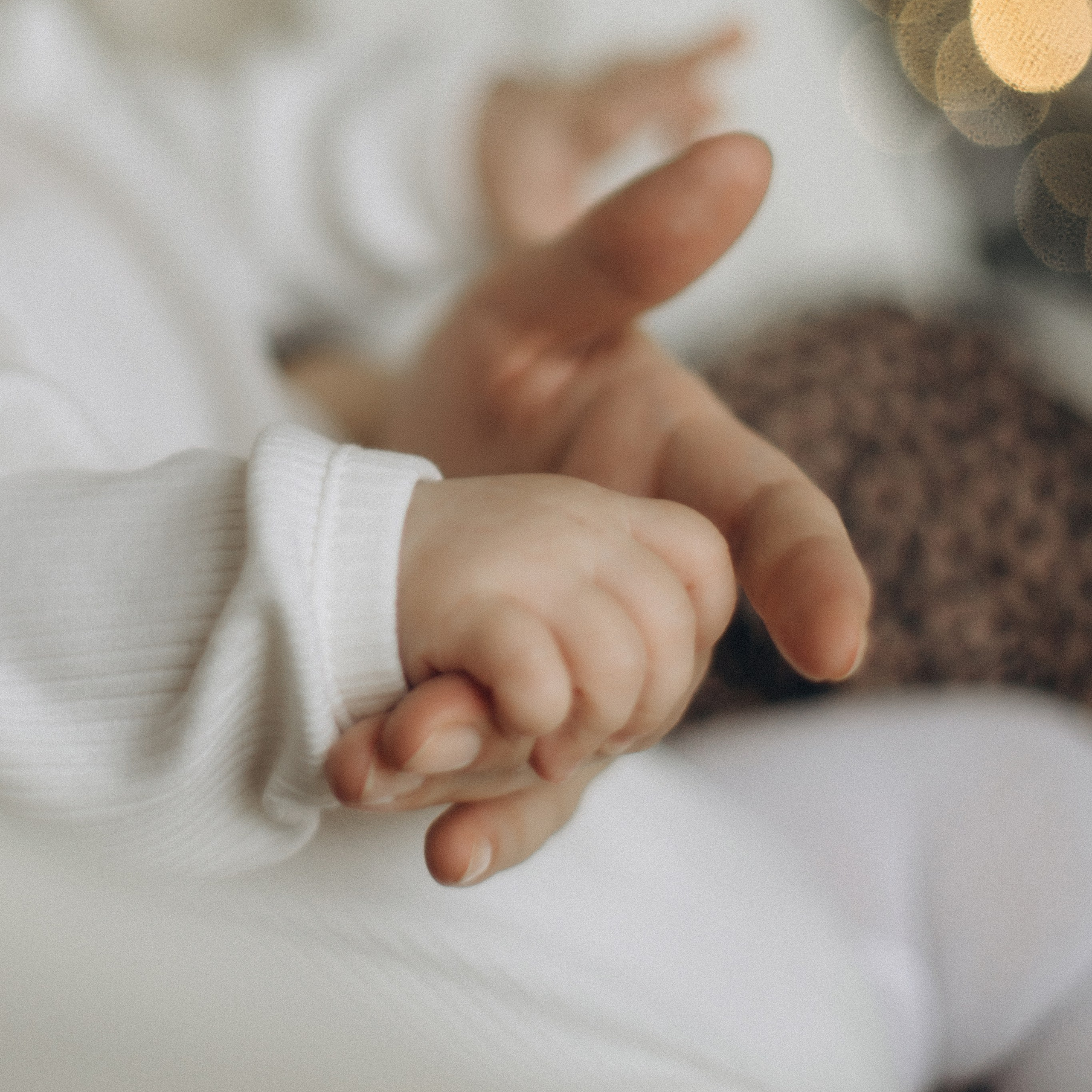 Семейный очаг