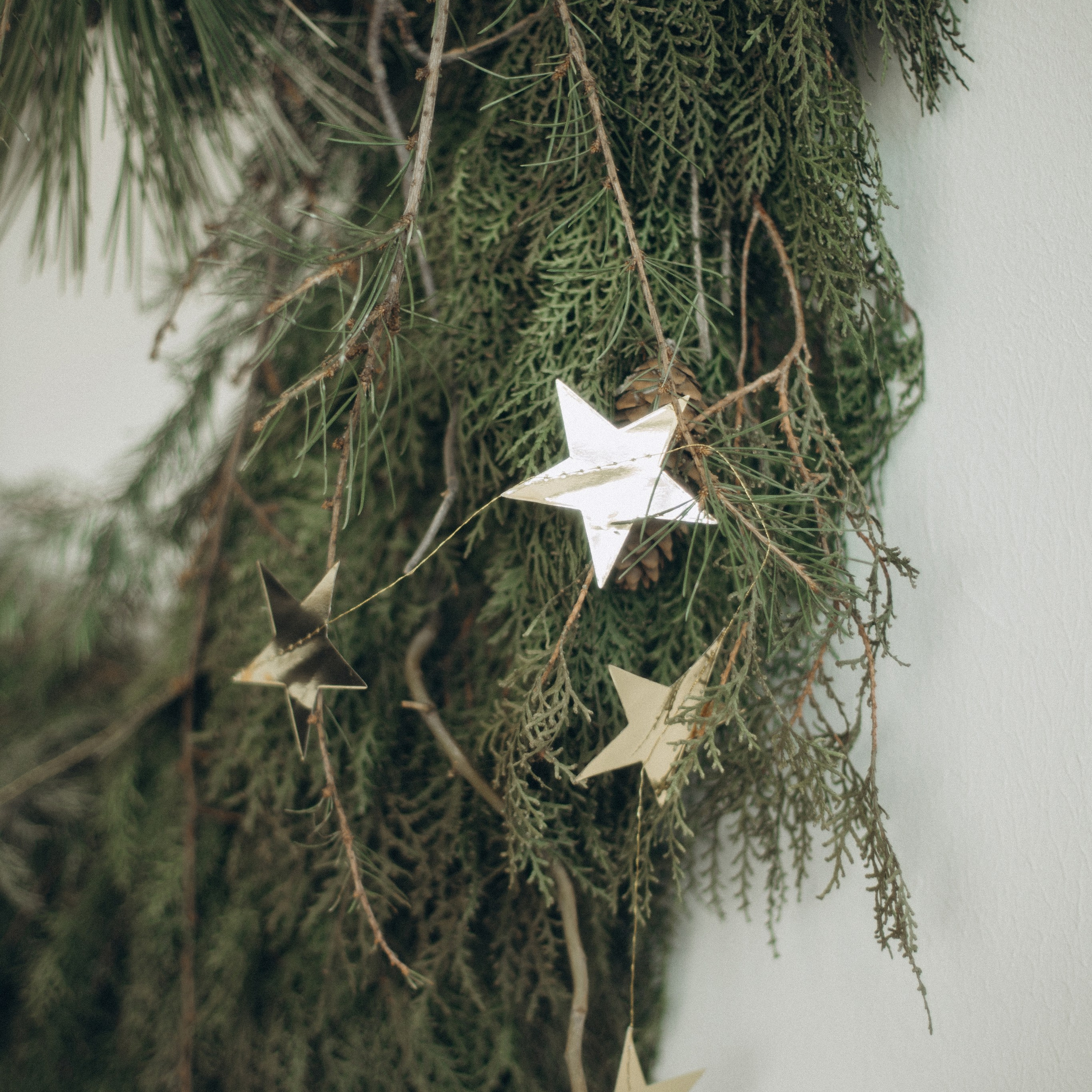 Отзывы. Портретный и свадебный фотограф в Астрахани Сабира Аубекерова