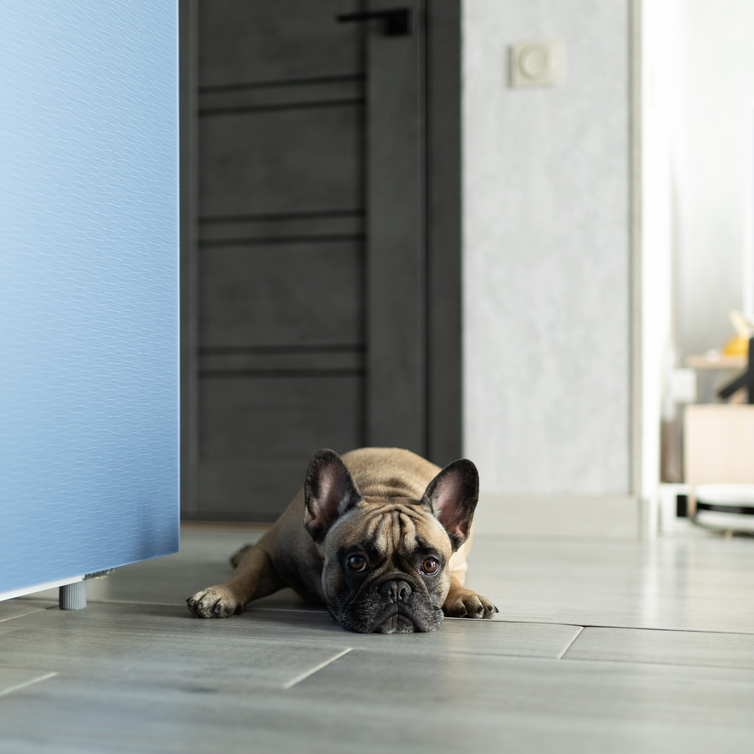 Домашняя съемка