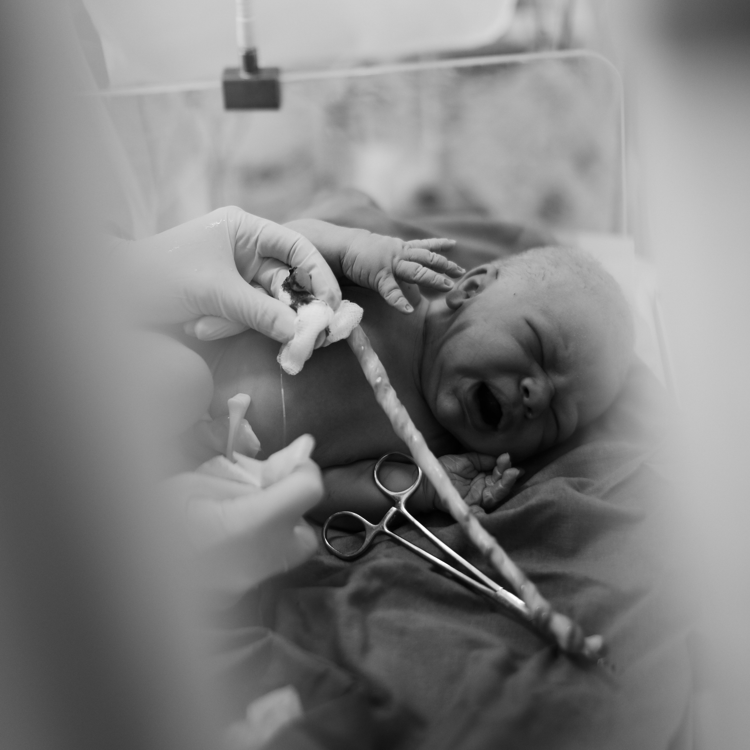 Рождение Евсея