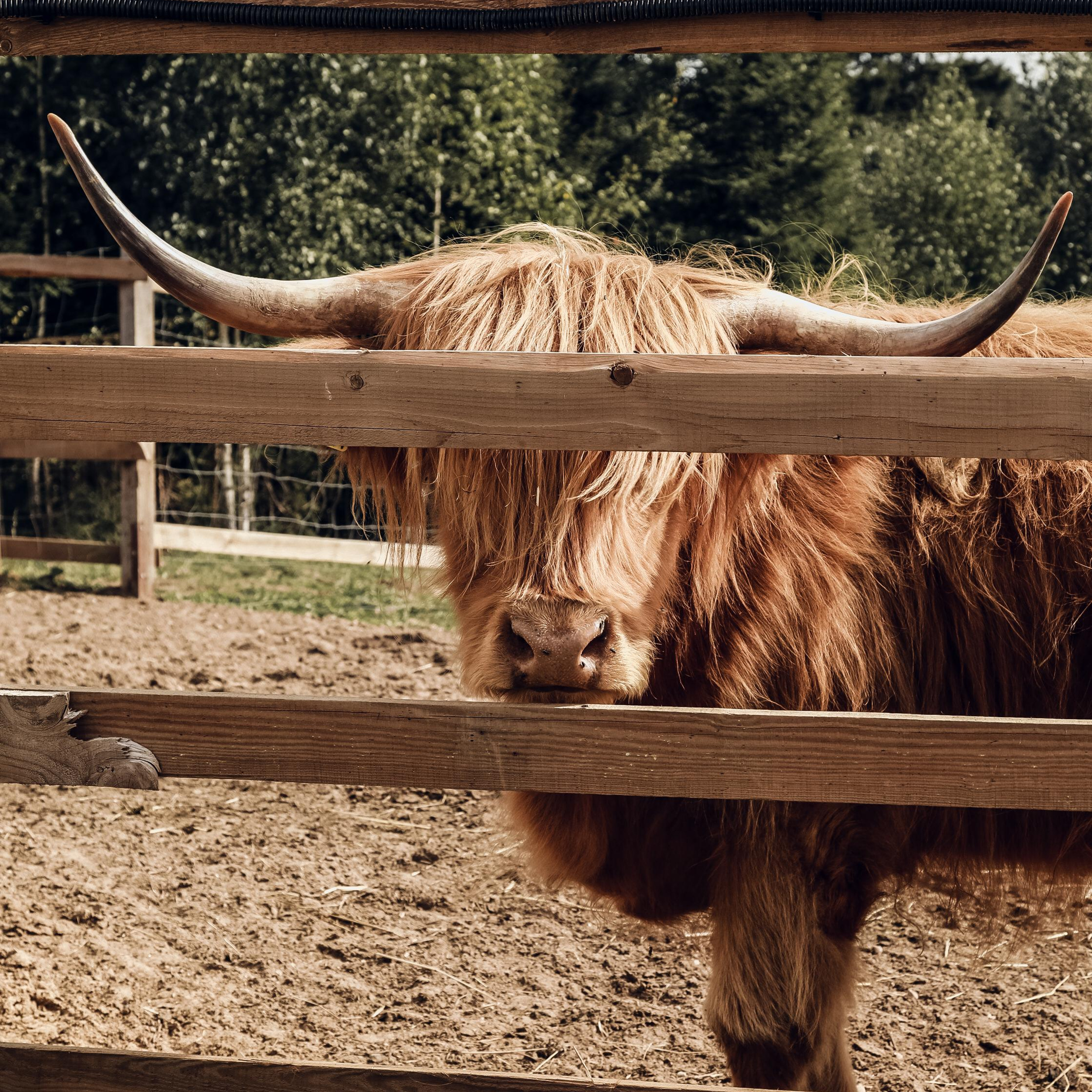 МАРКЕТПЛЕЙС / КОНТЕНТ СЪЕМКА. Фотограф Олеся Милош Мытищи, Москва и МО и весь мир