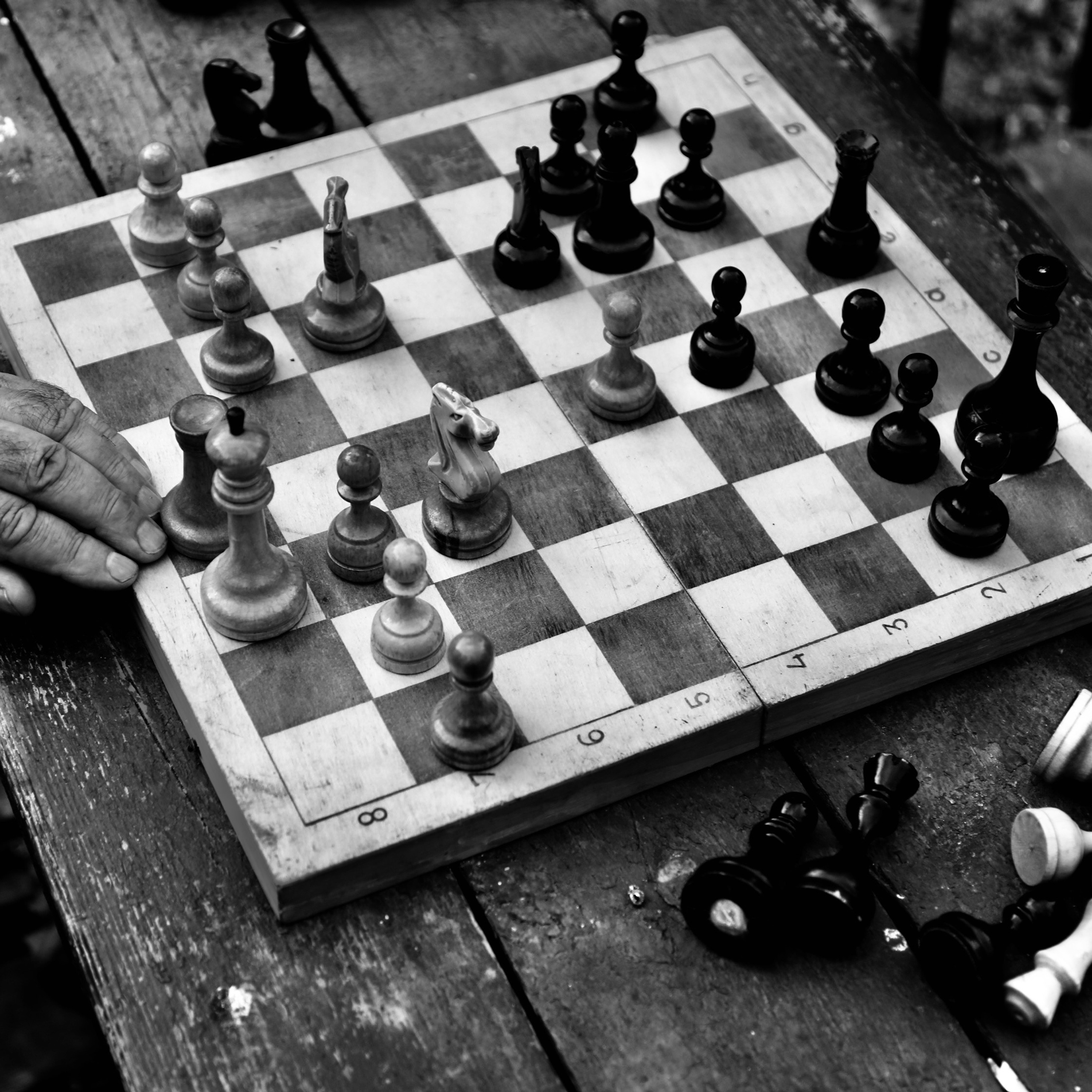 МАРКЕТПЛЕЙС / КОНТЕНТ СЪЕМКА. Фотограф Олеся Милош Мытищи, Москва и МО и весь мир