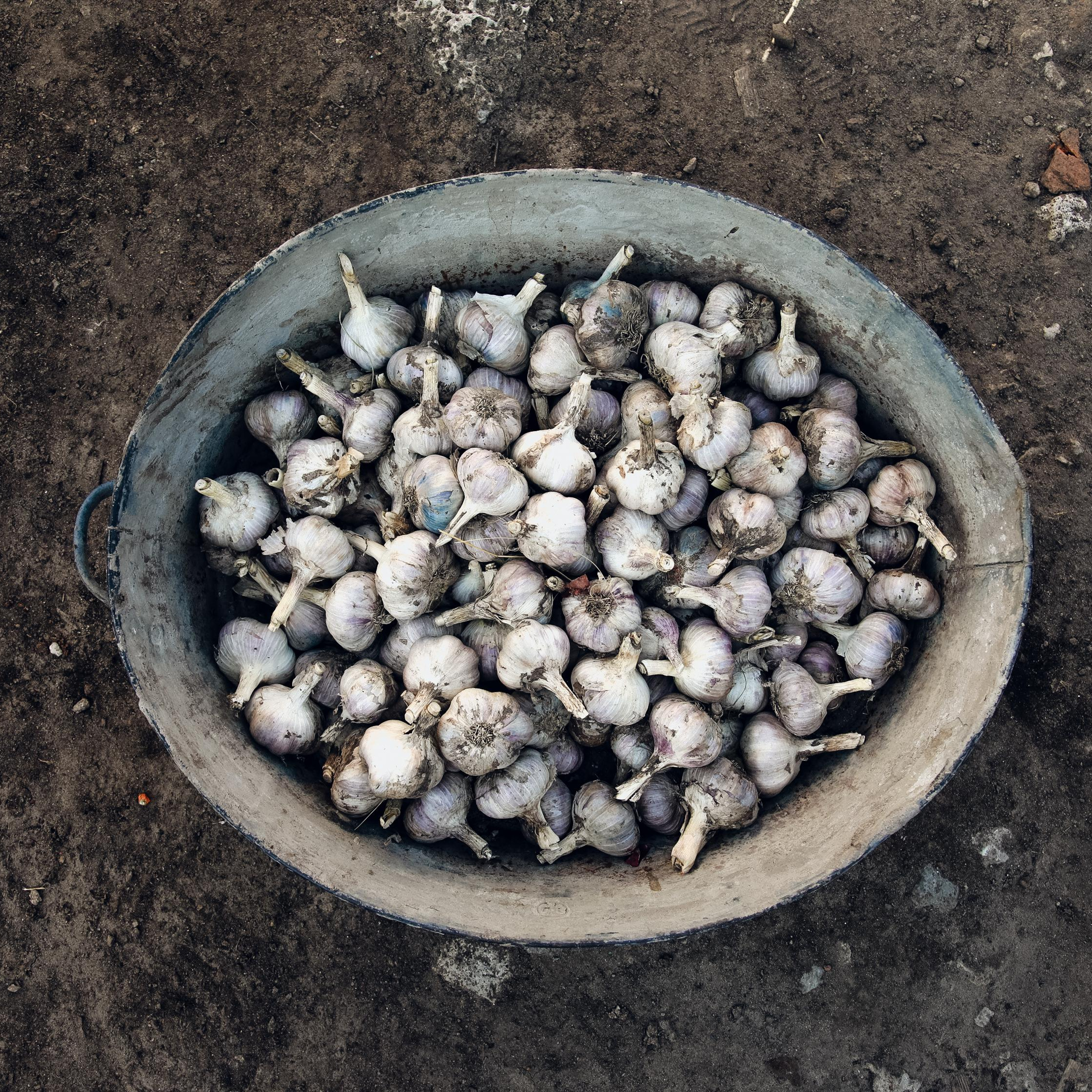 МАРКЕТПЛЕЙС / КОНТЕНТ СЪЕМКА. Фотограф Олеся Милош Мытищи, Москва и МО и весь мир