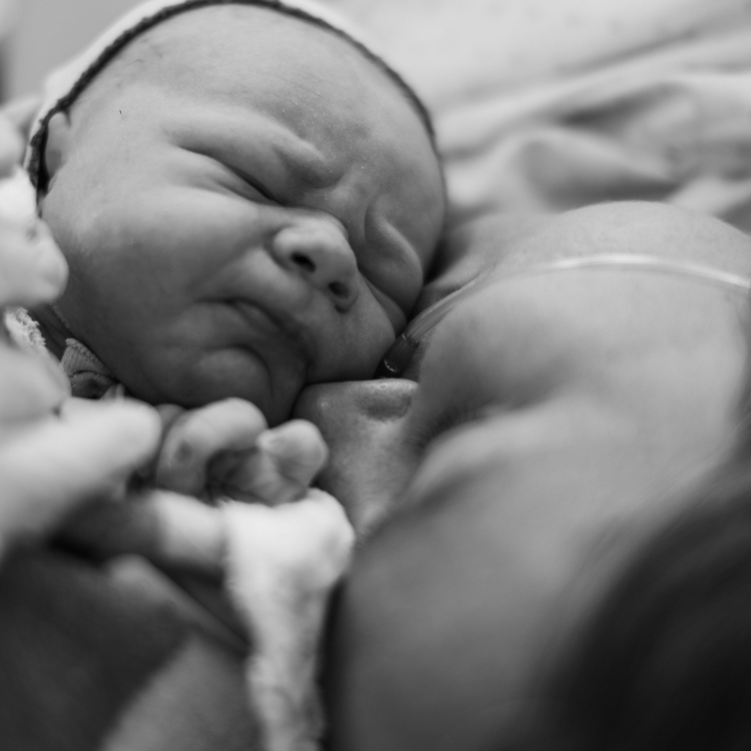 Фотограф Олеся Милош Мытищи, Москва и МО и весь мир