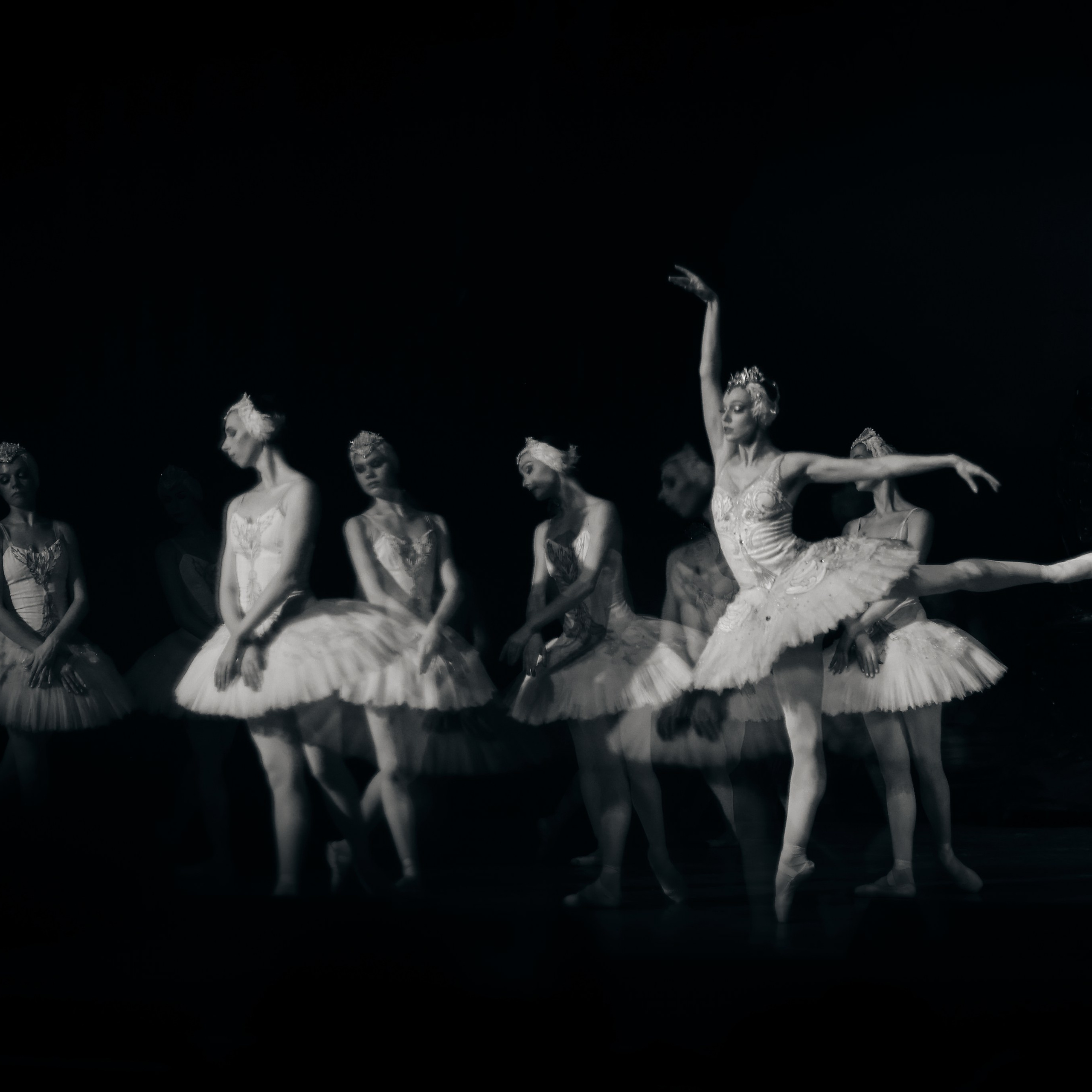 Балет «Лебединное озеро» (серия монохром), Театр классического балета Н. Касаткиной и В. Василёва