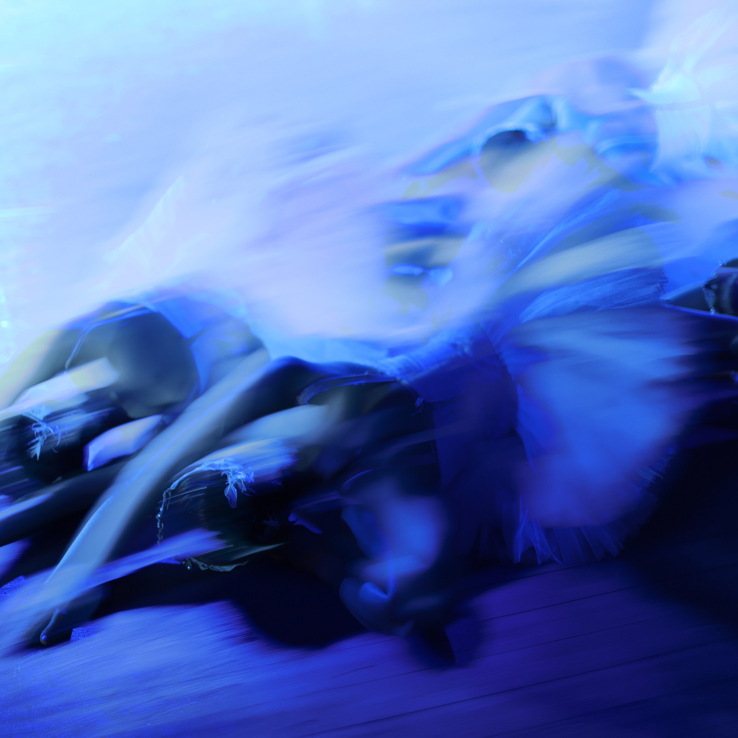 Балет «Лебединное озеро», Театр классического балета Н. Касаткиной и В. Василёва