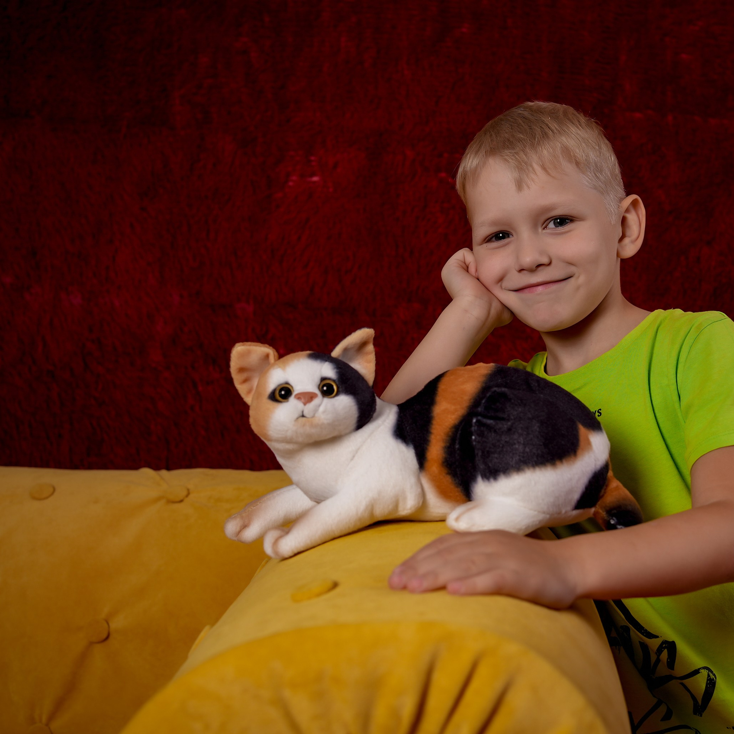 Студийная съемка Котики