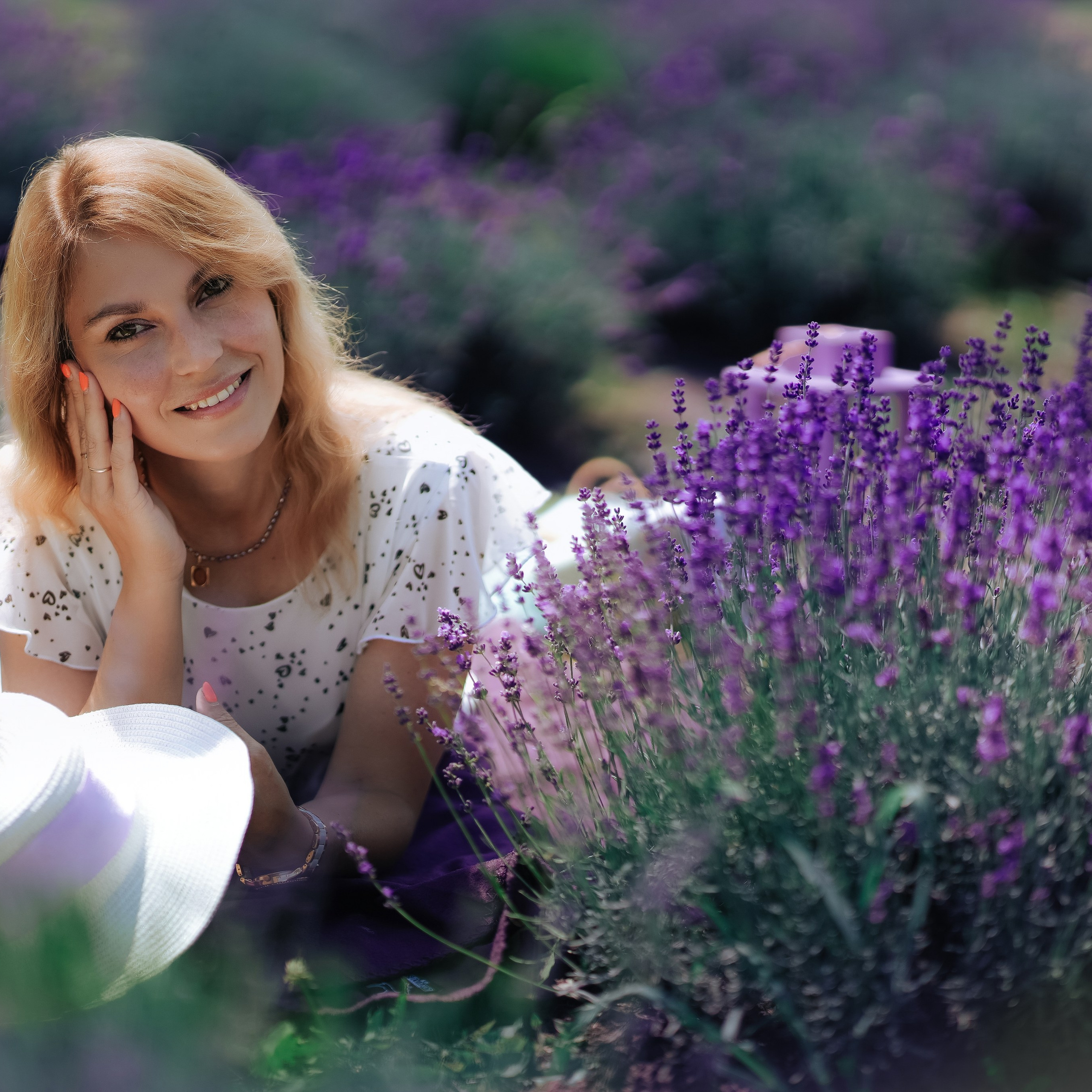 Лавандовое поле 2