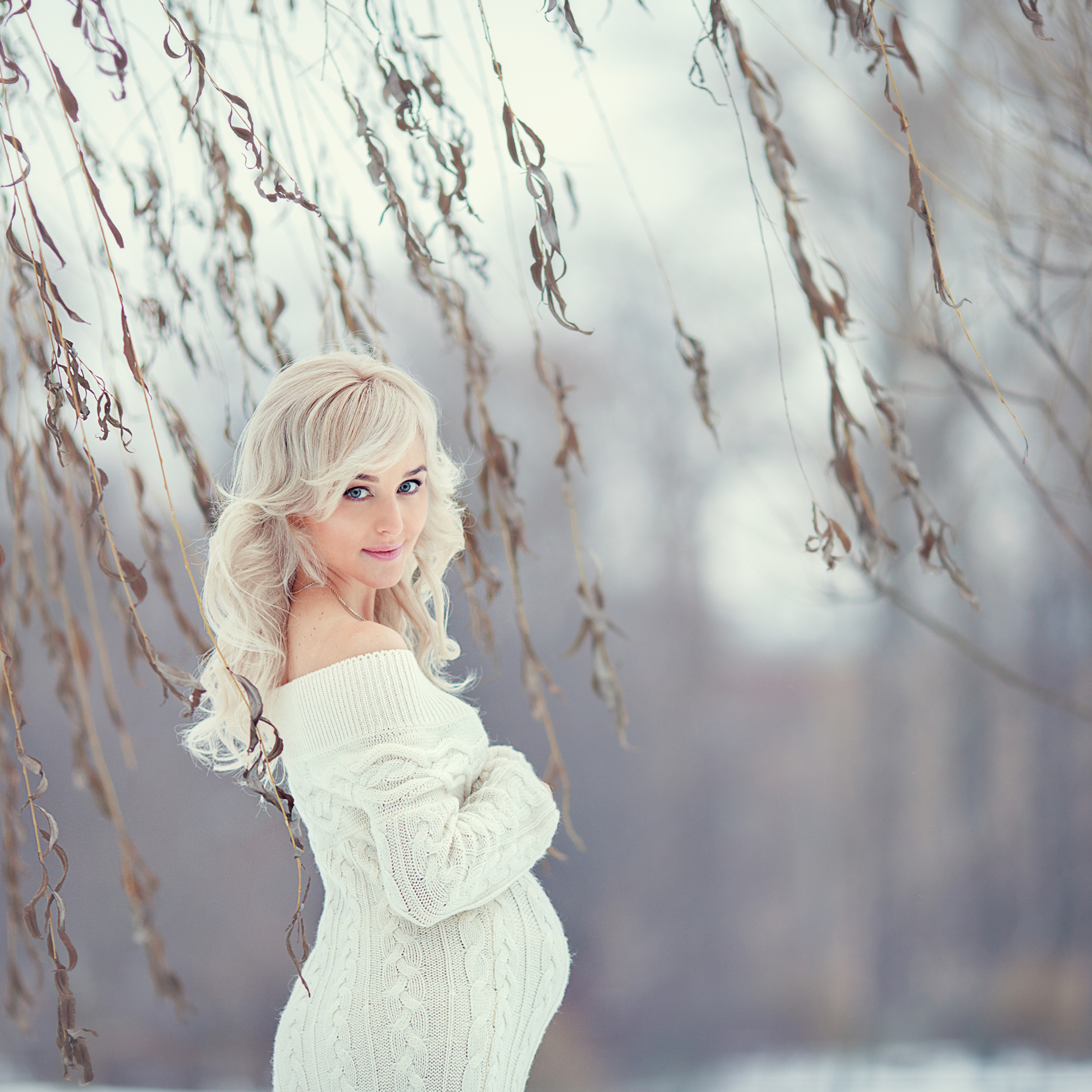 Зимняя история